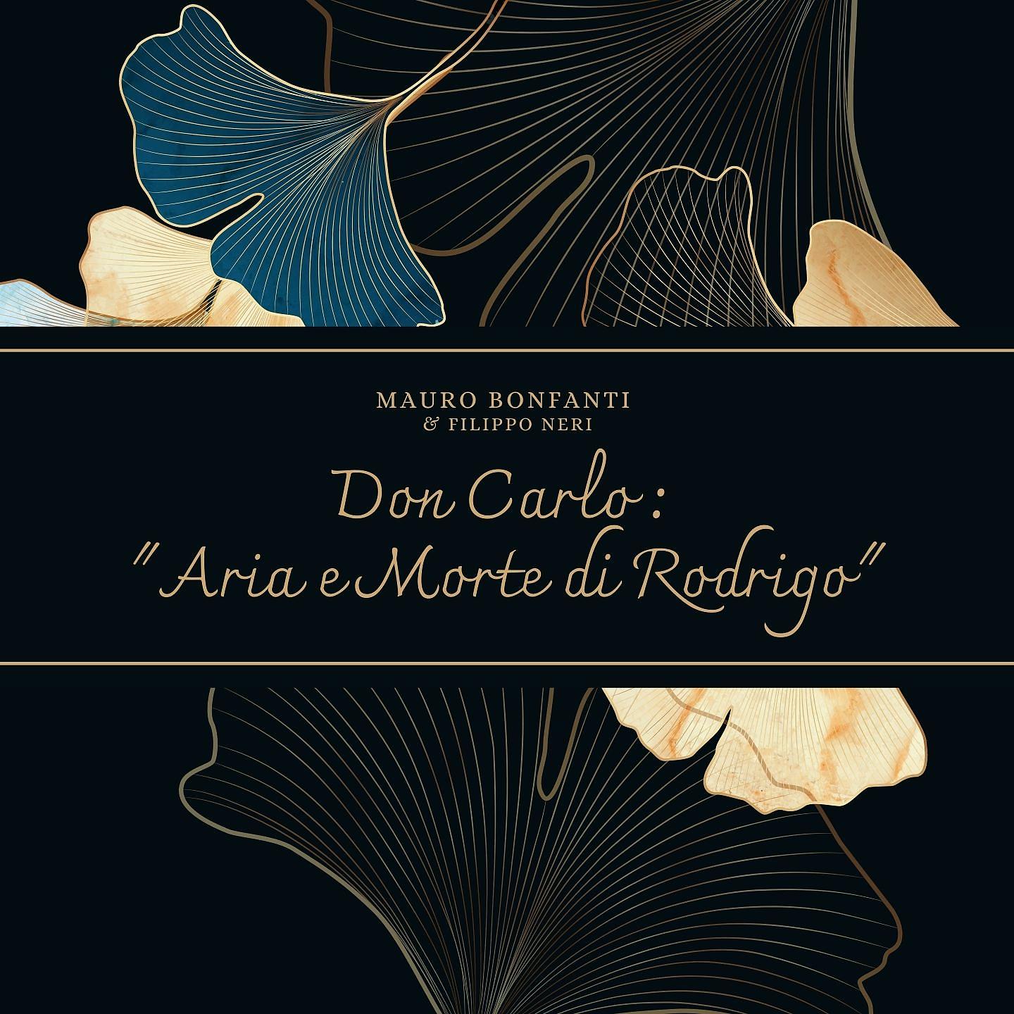 Постер альбома Don Carlo: "Aria e Morte di Rodrigo"