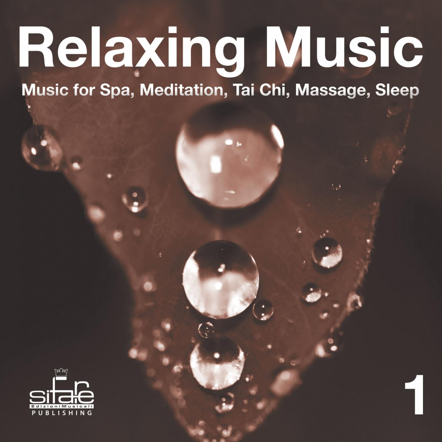 Постер альбома Relaxing Music, Vol. 1