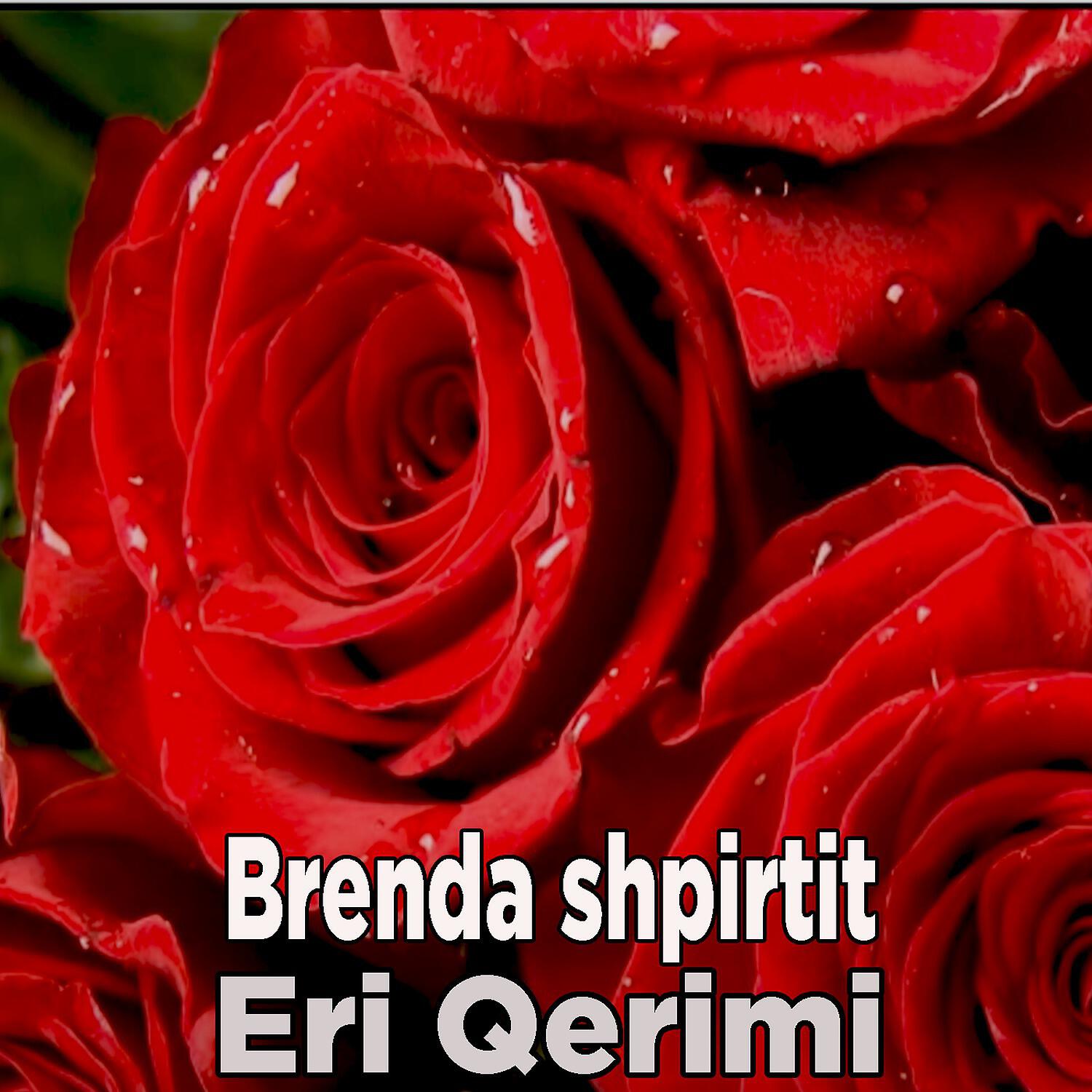 Eri Qerimi - Brenda shpirtit