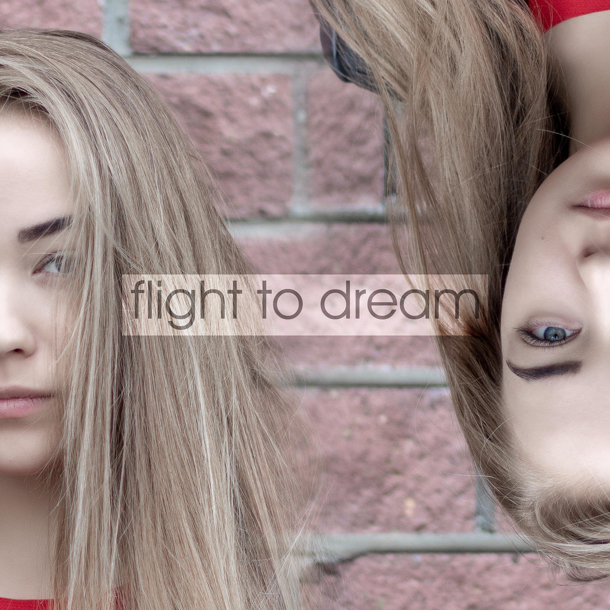 Постер альбома Flight to Dream