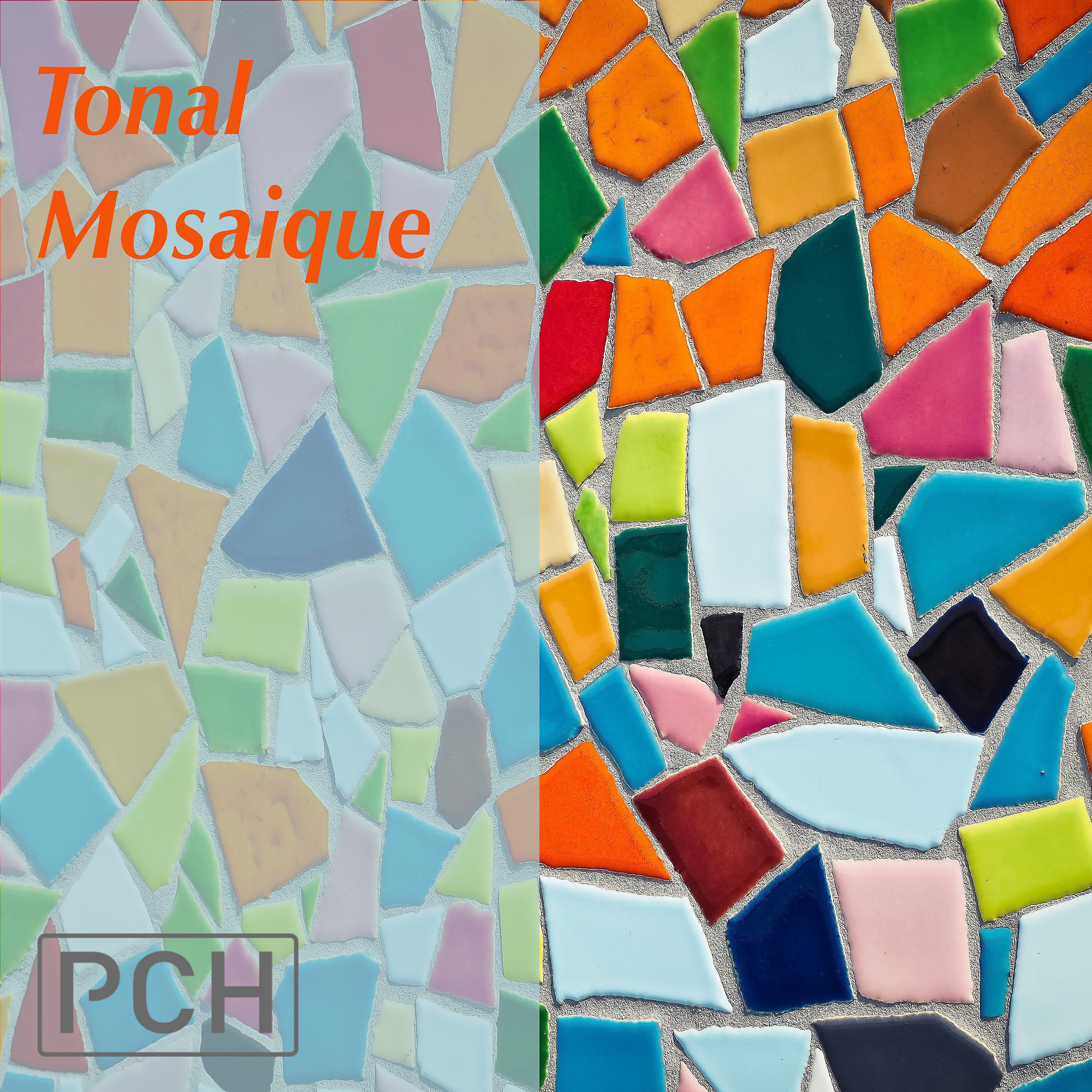 Постер альбома Tonal Mosaique
