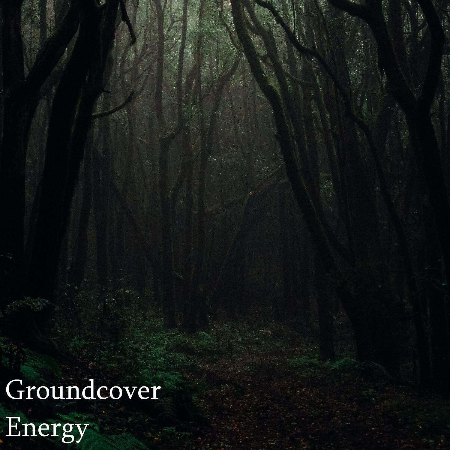 Постер альбома Groundcover Energy