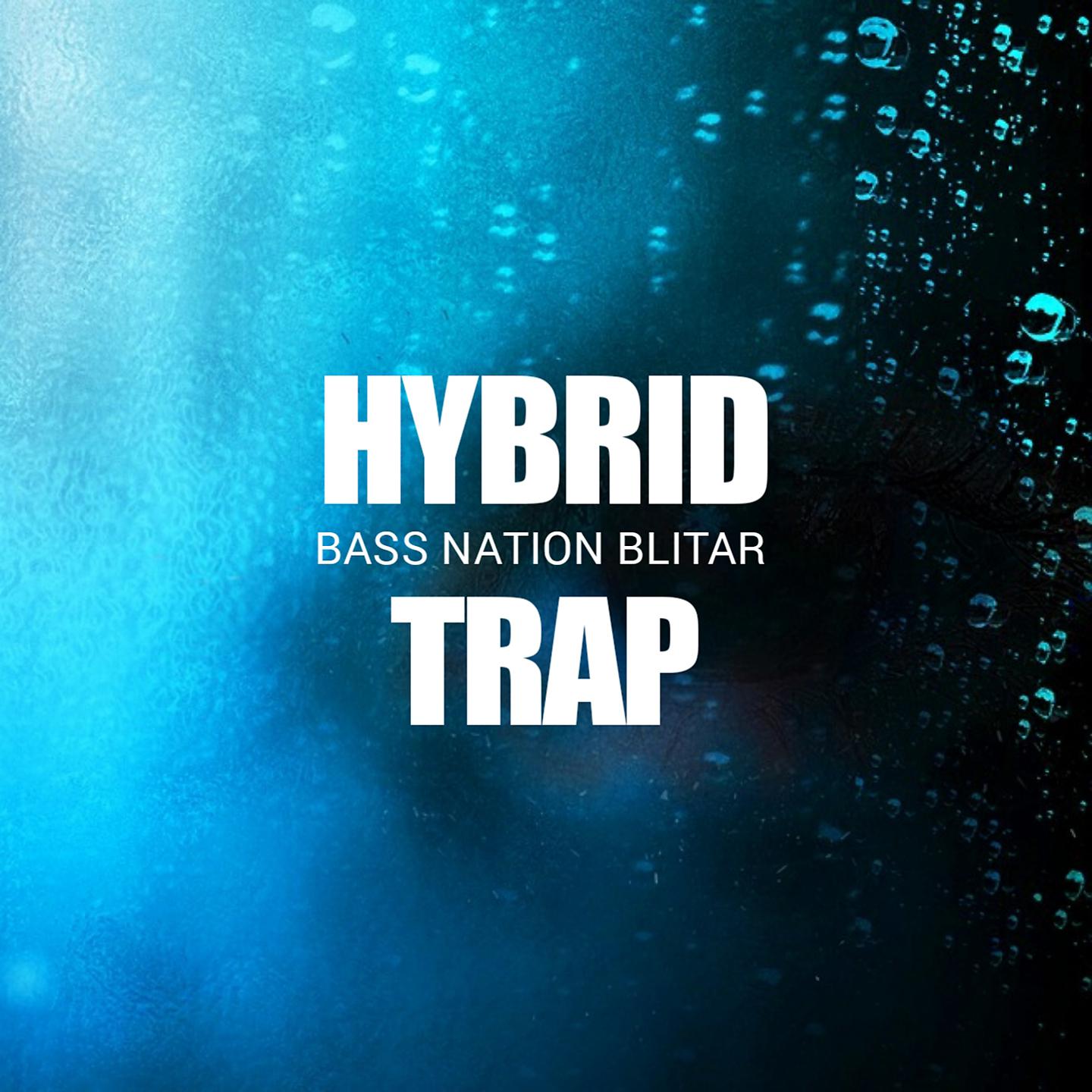 Постер альбома Hybrid Trap