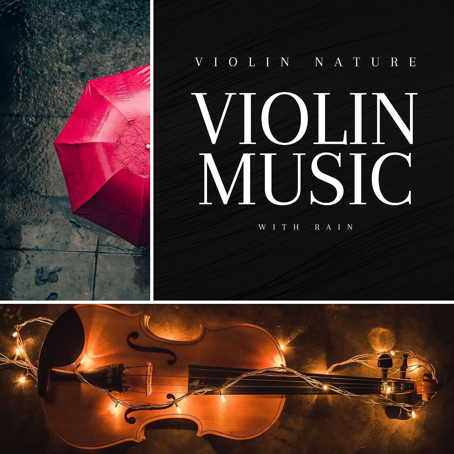 Постер альбома Violin Music with Rain