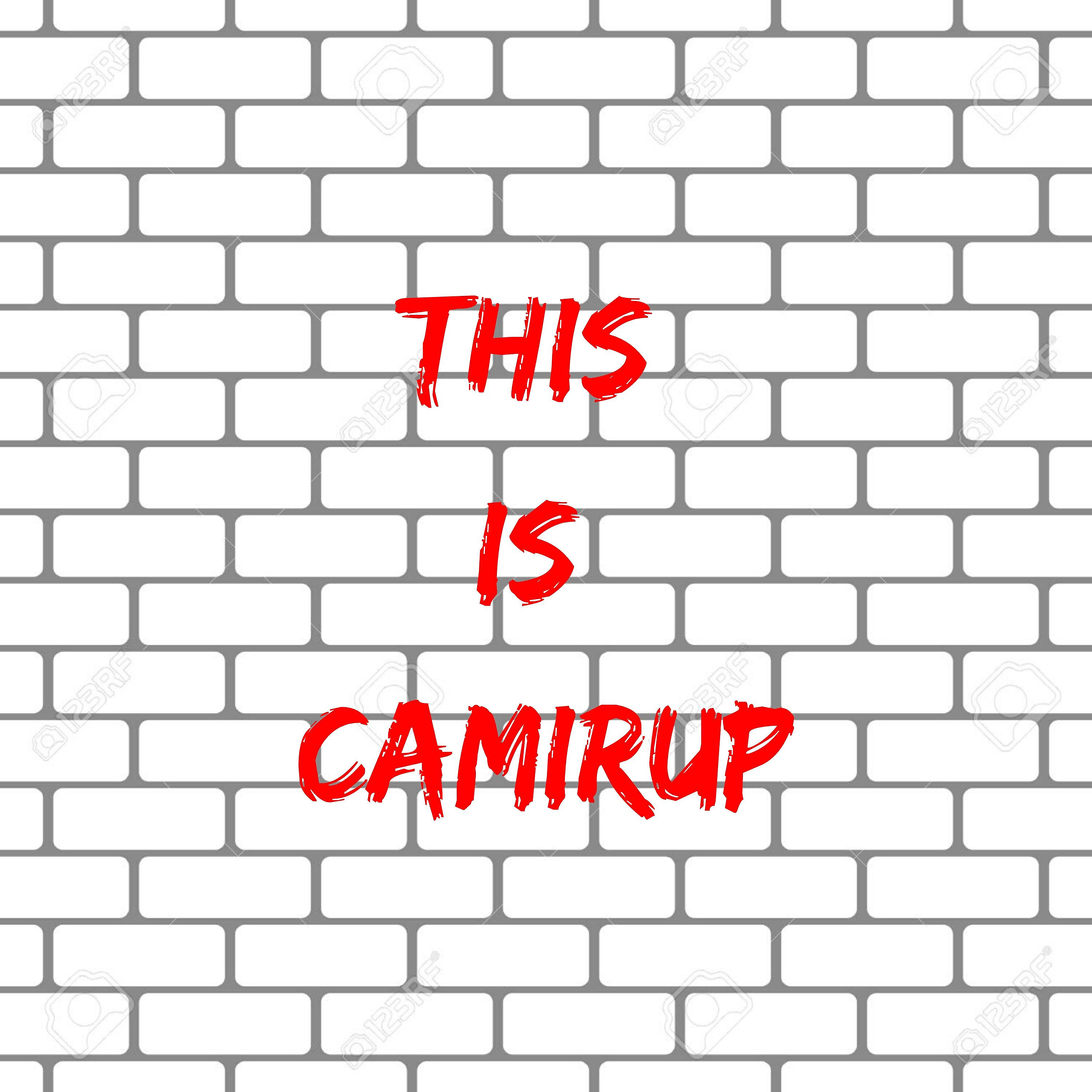 Camirup - My Night