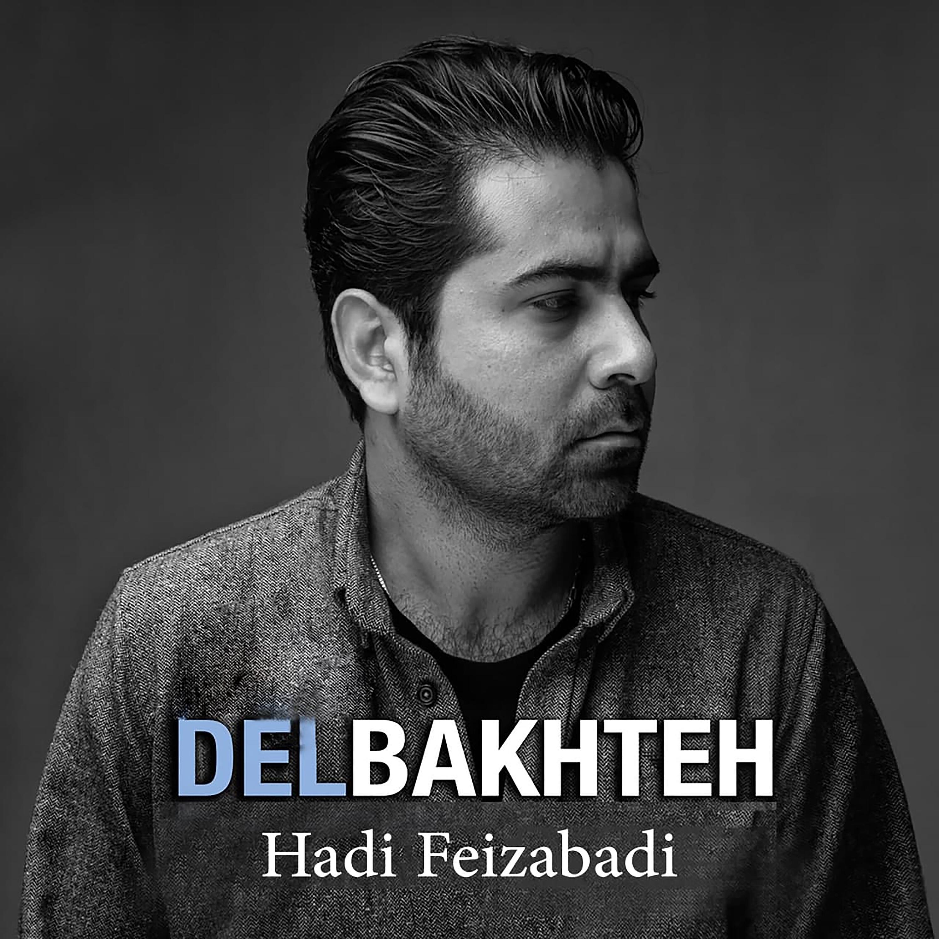 Hadi Feizabadi - Delbakhteh