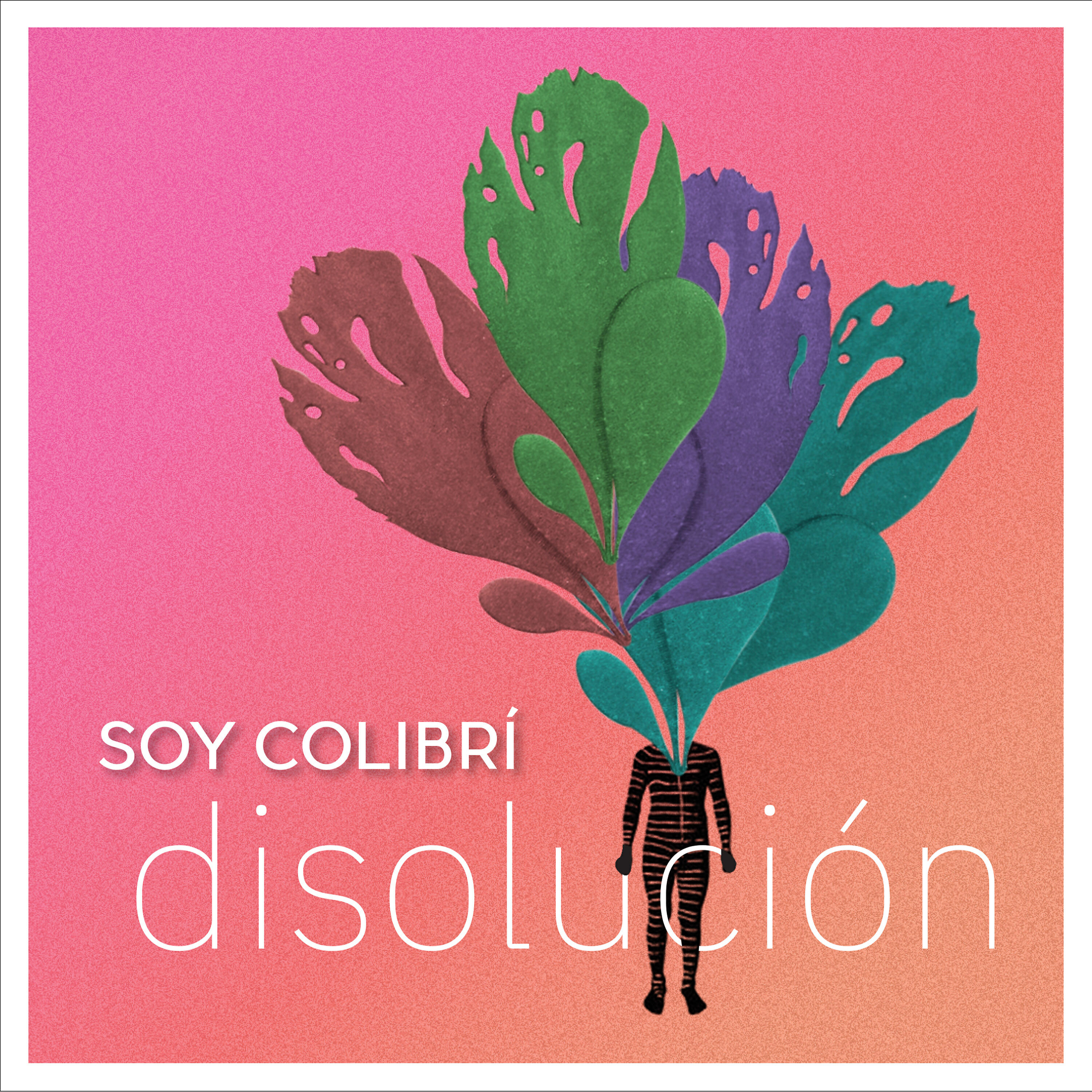 Soy Colibrí - Serpiente