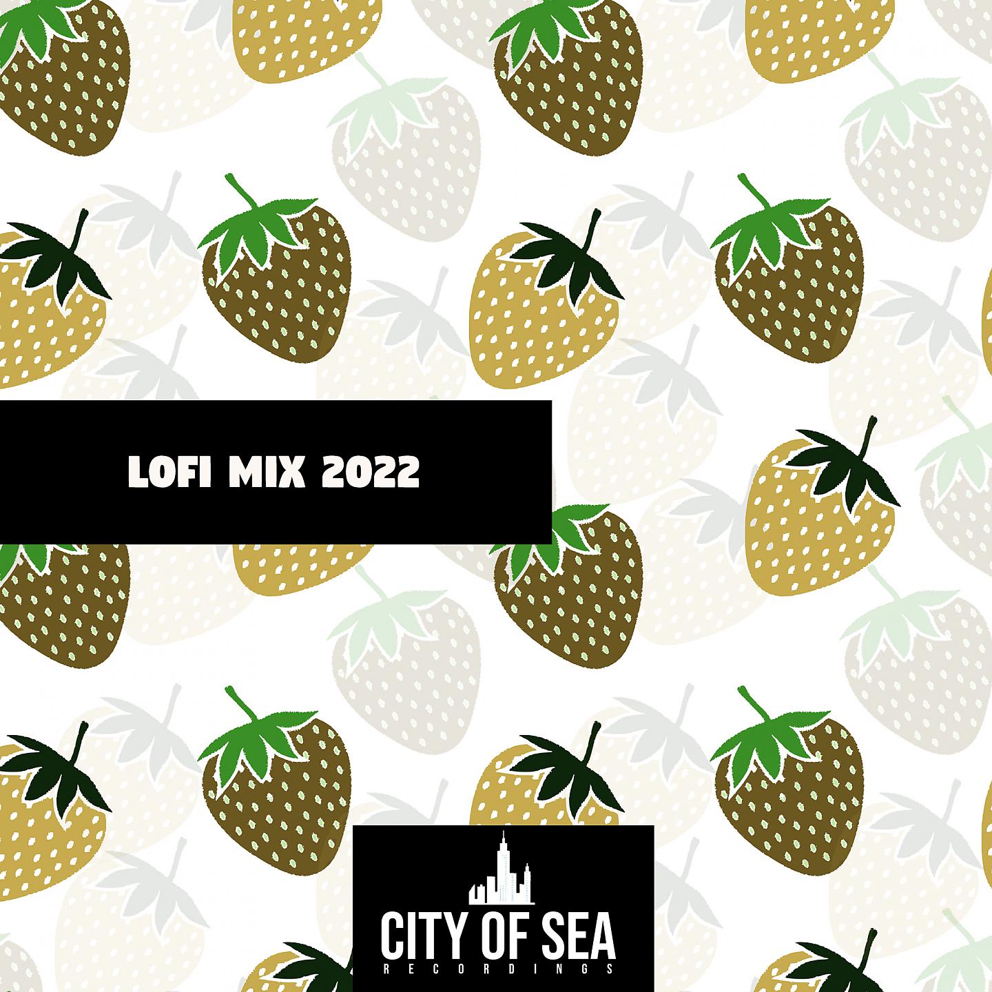 Постер альбома Lofi Mix 2022