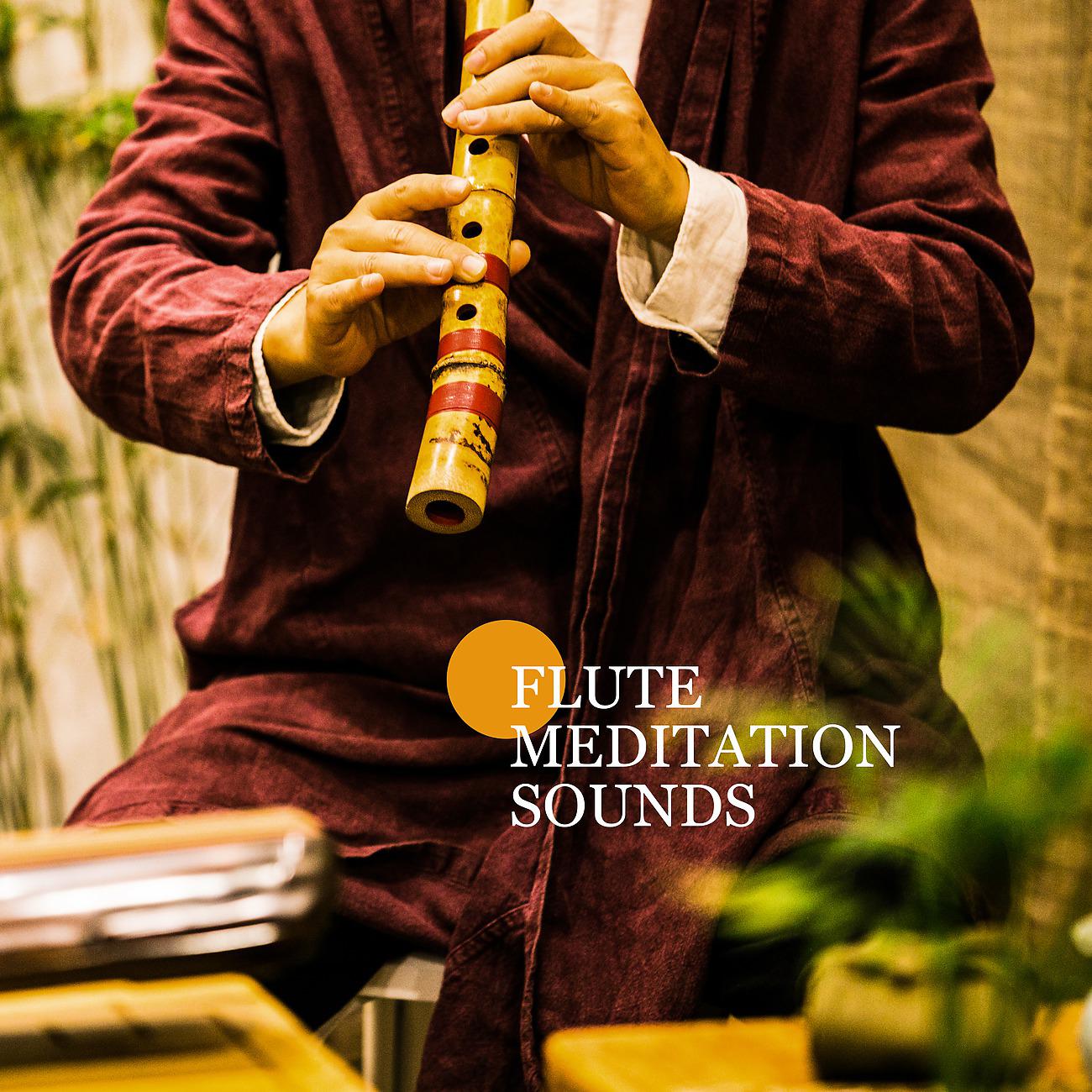 Постер альбома Flute Meditation Sounds