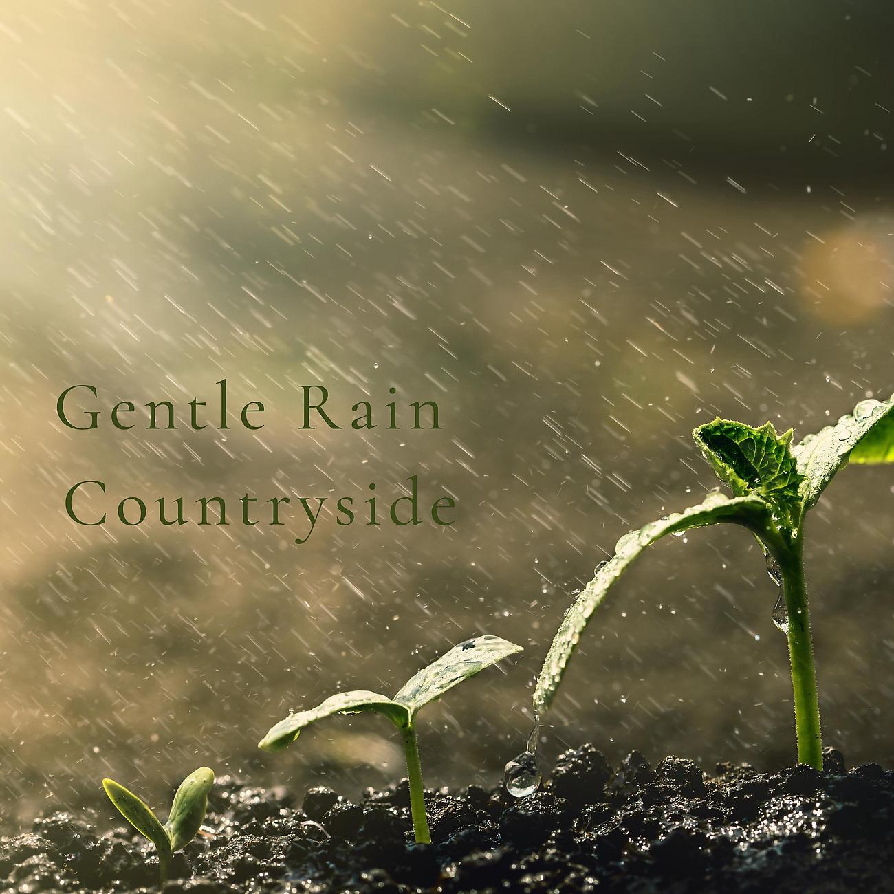 Постер альбома Gentle Rain Countryside