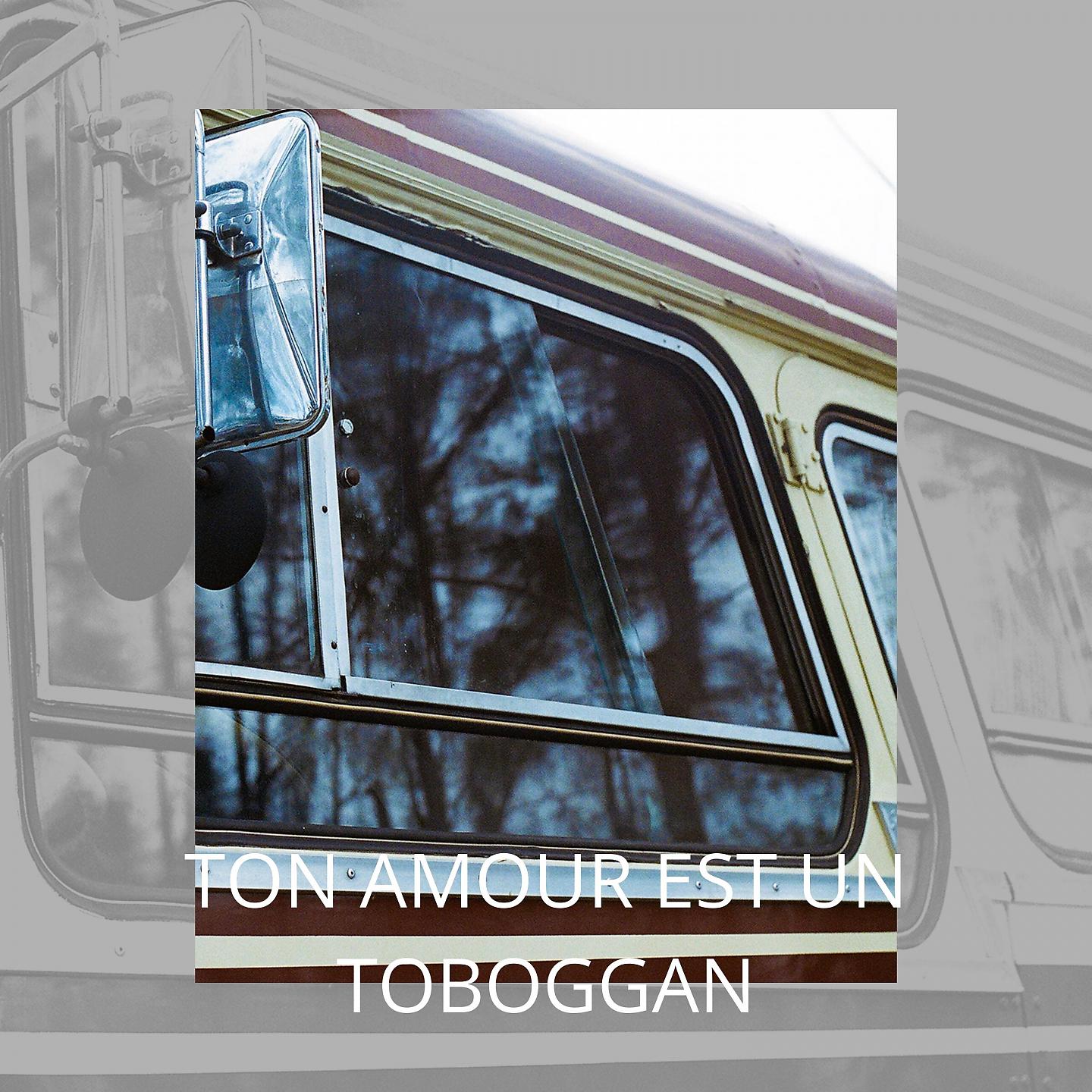 Постер альбома Ton amour est un toboggan