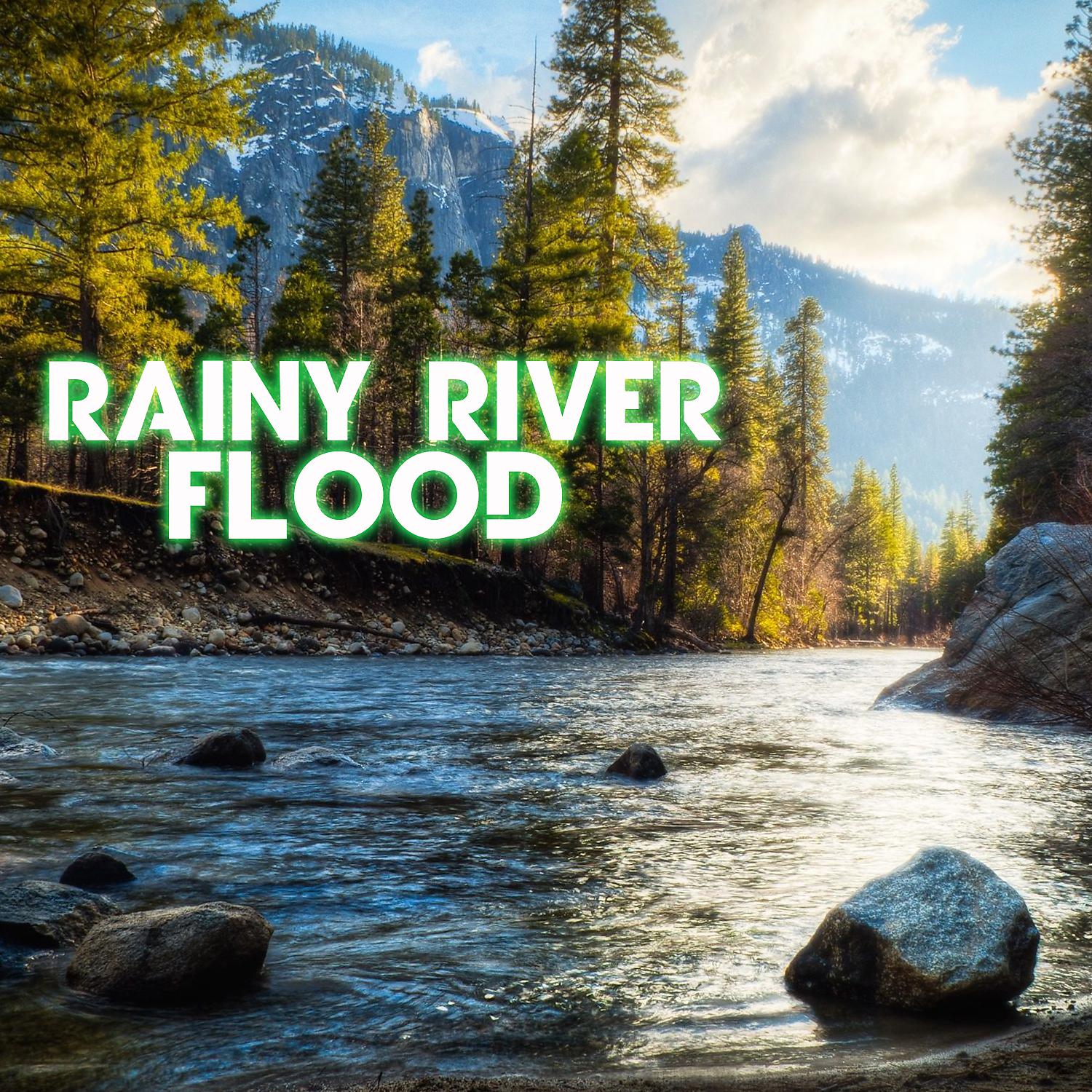 Постер альбома Rainy River Flood