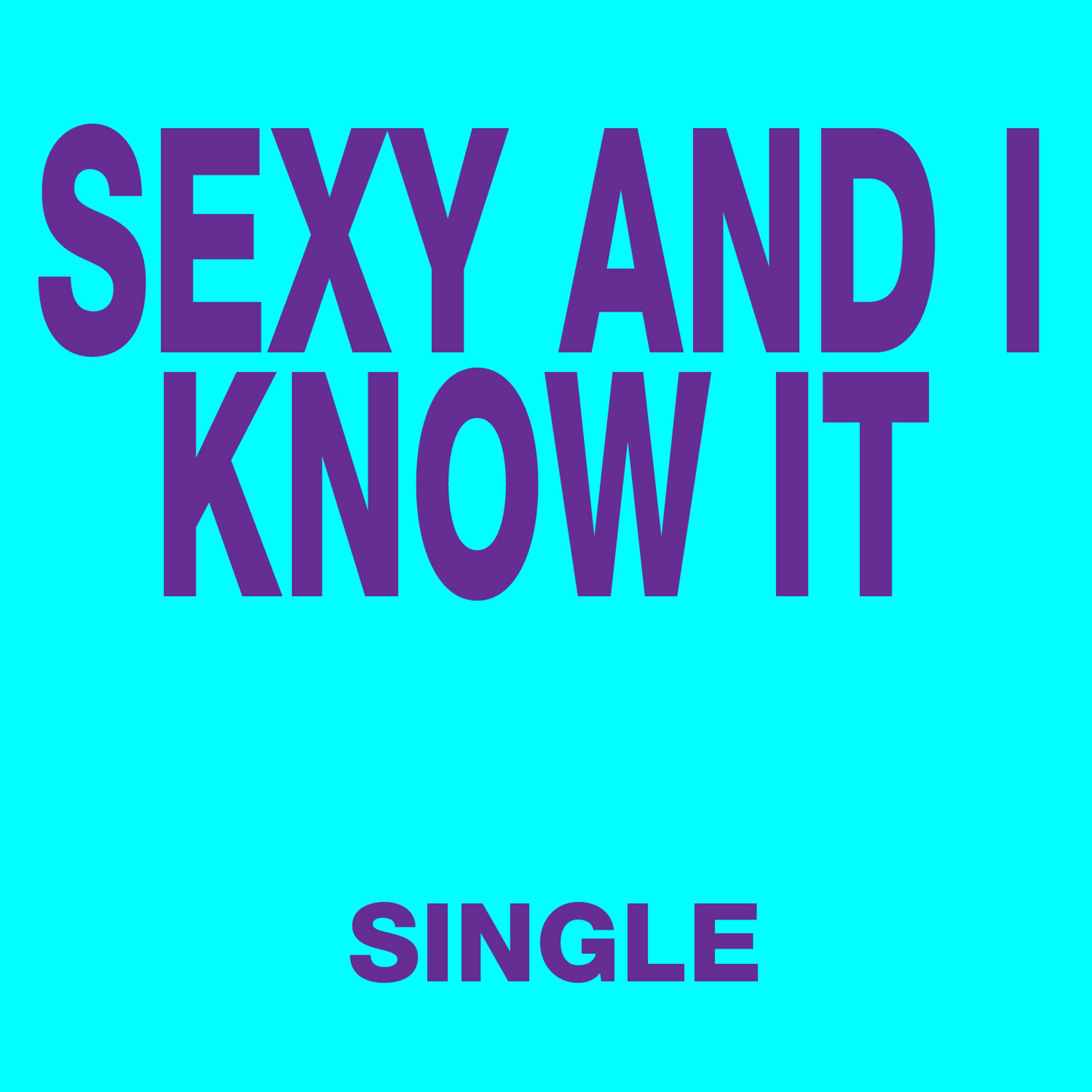 Постер альбома Sexy and I Know It - Single