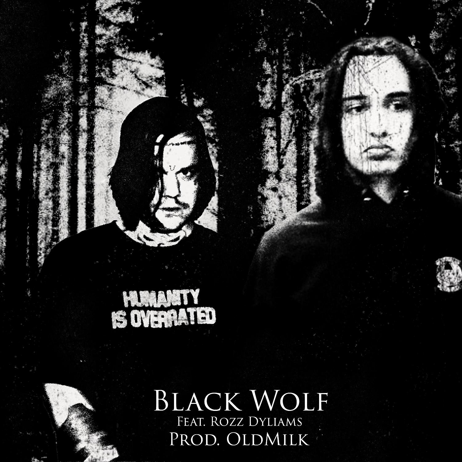 Постер альбома Black Wolf (feat. Rozz Dyliams)