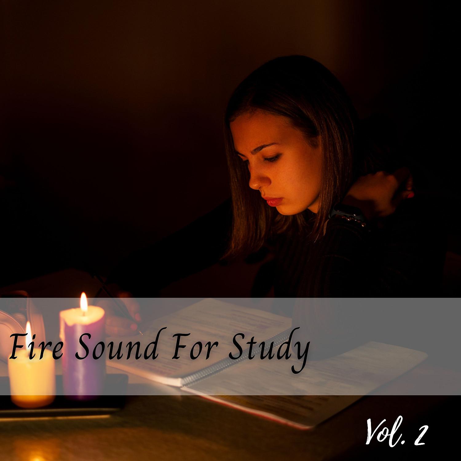 Постер альбома Fire Sound For Study Vol. 2