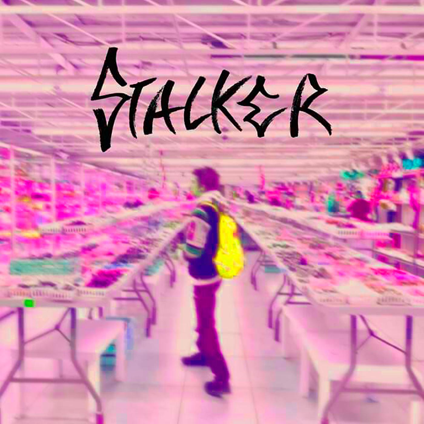 Постер альбома Stalker (Remix)