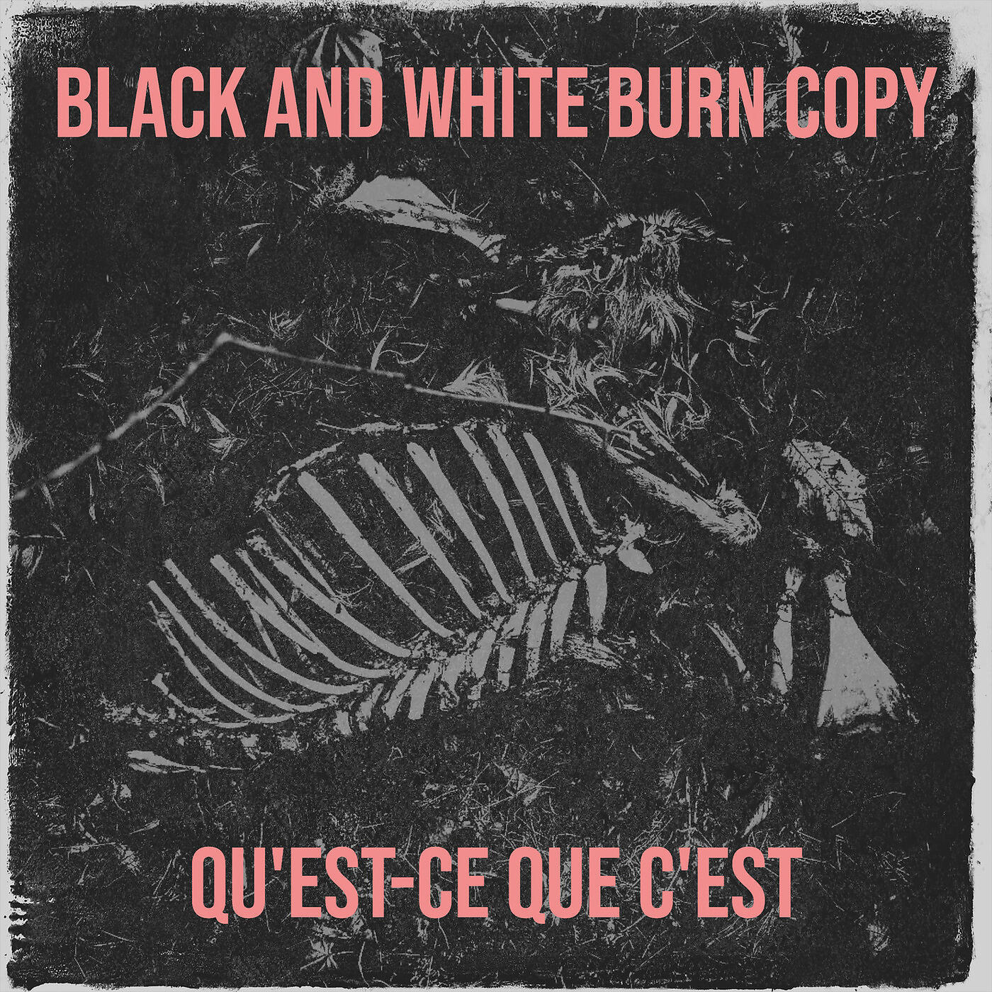 Qu'est-ce Que c'est - Two Addicts in Love