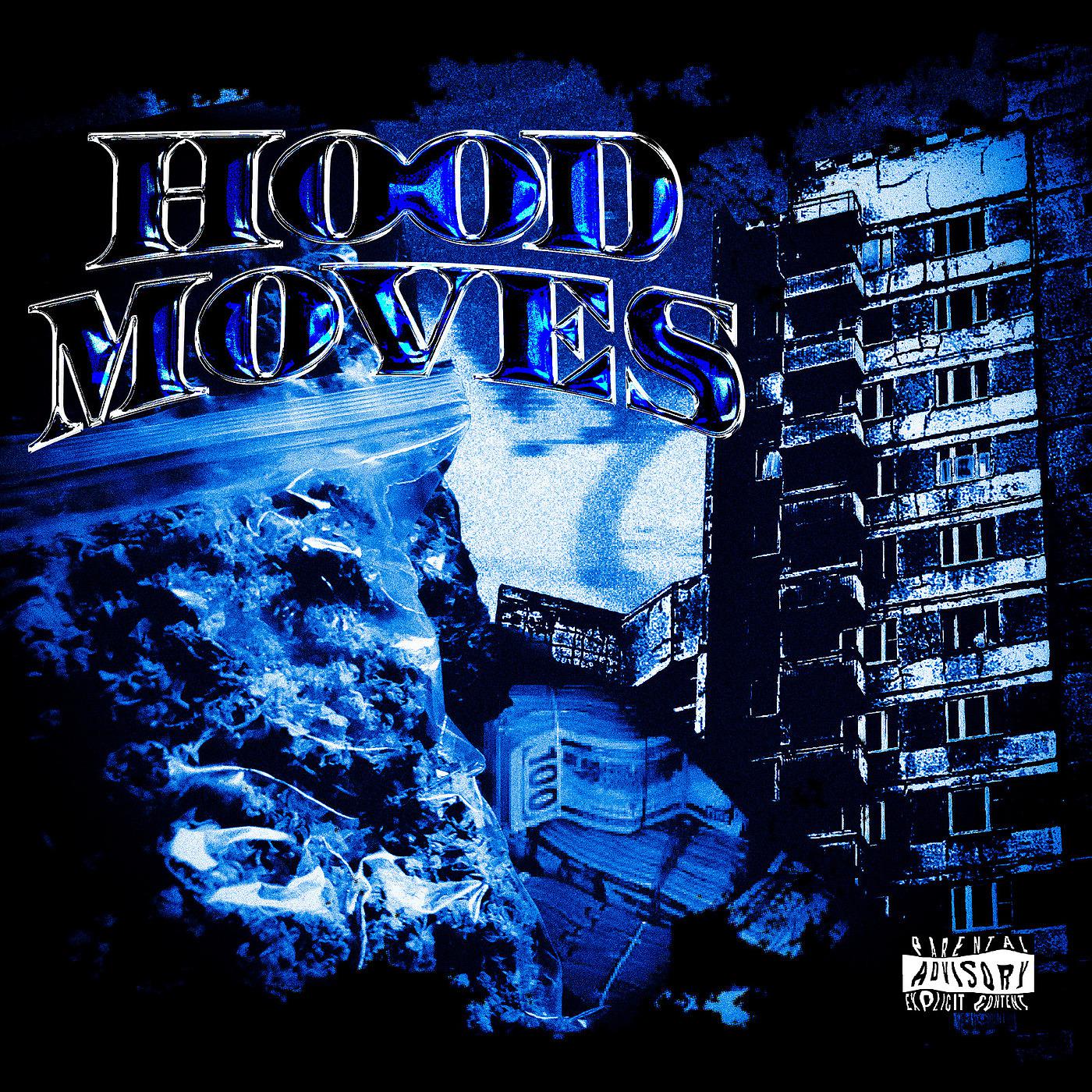 Постер альбома Hood Moves
