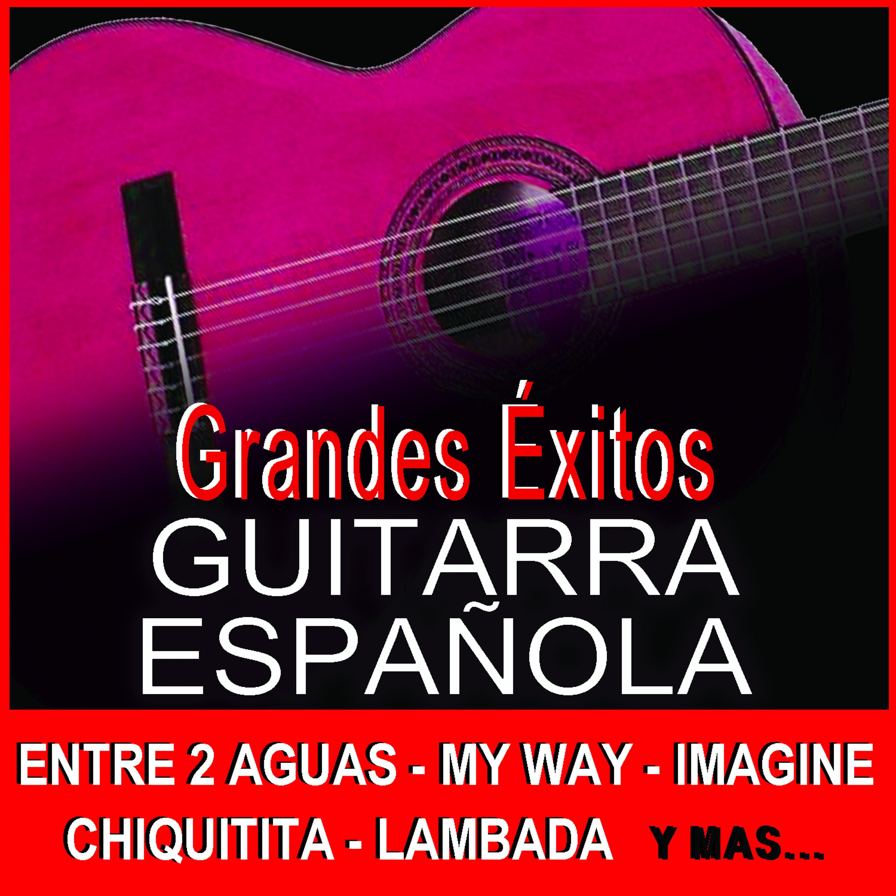 Постер альбома Guitarra Española Grandes Exitos