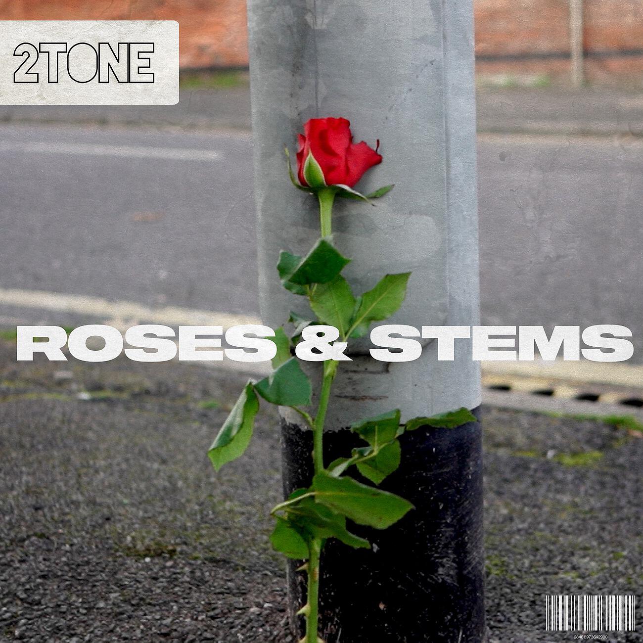 2Tone - Roses & Stems