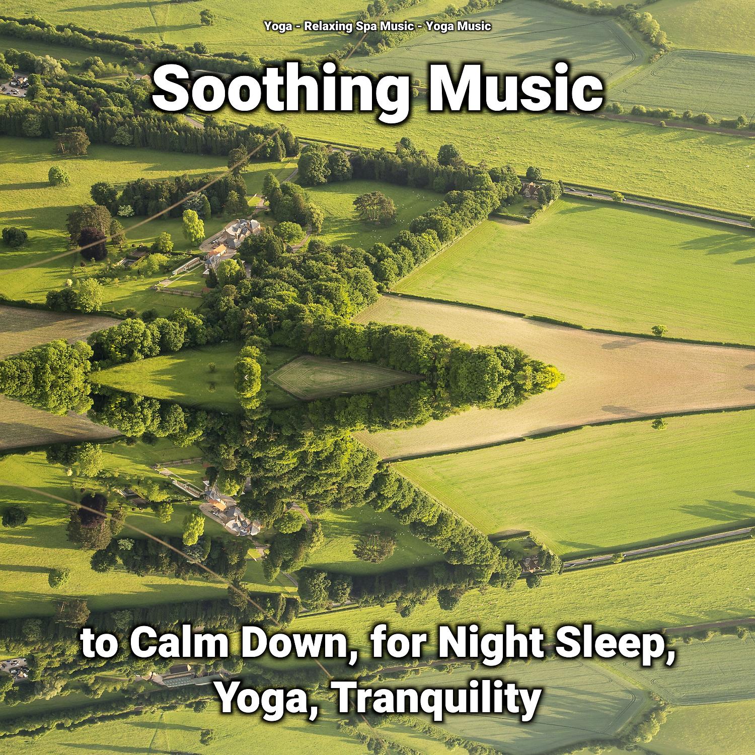 Постер альбома Soothing Music to Calm Down, for Night Sleep, Yoga, Tranquility