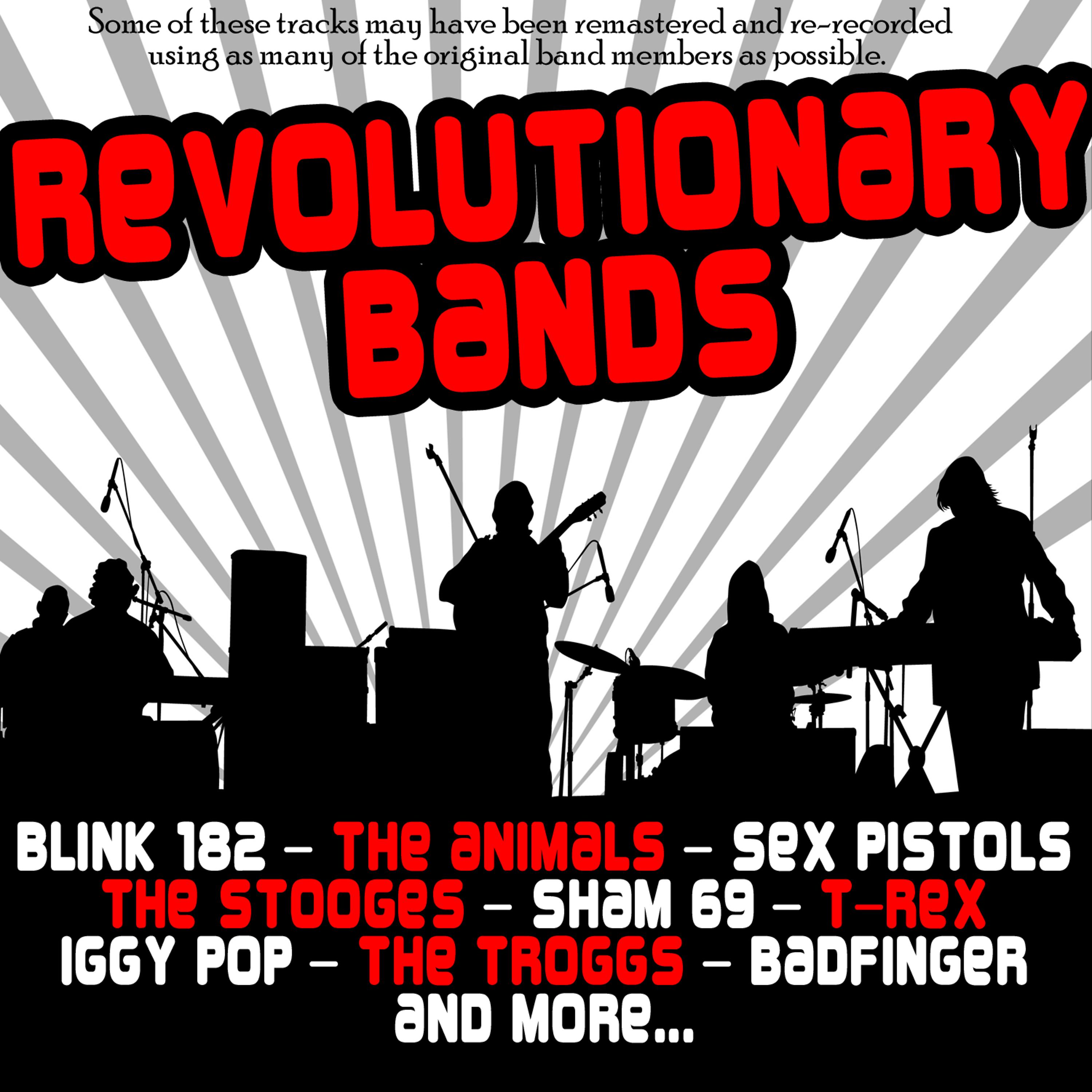 Постер альбома Revolutionary bands