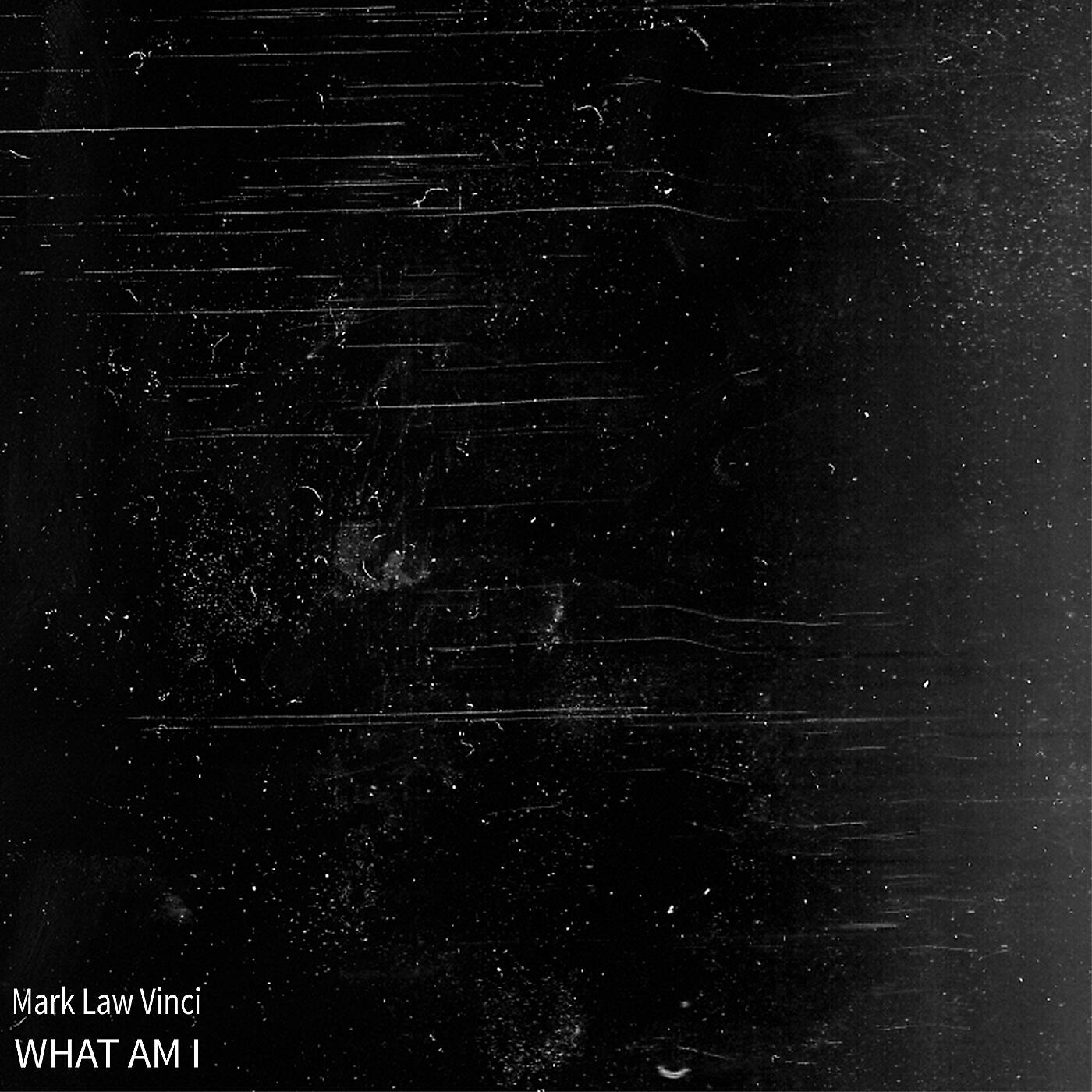 Mark Law Vinci - What Am I