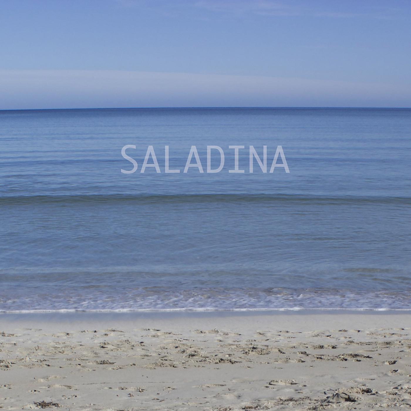 Постер альбома Saladina