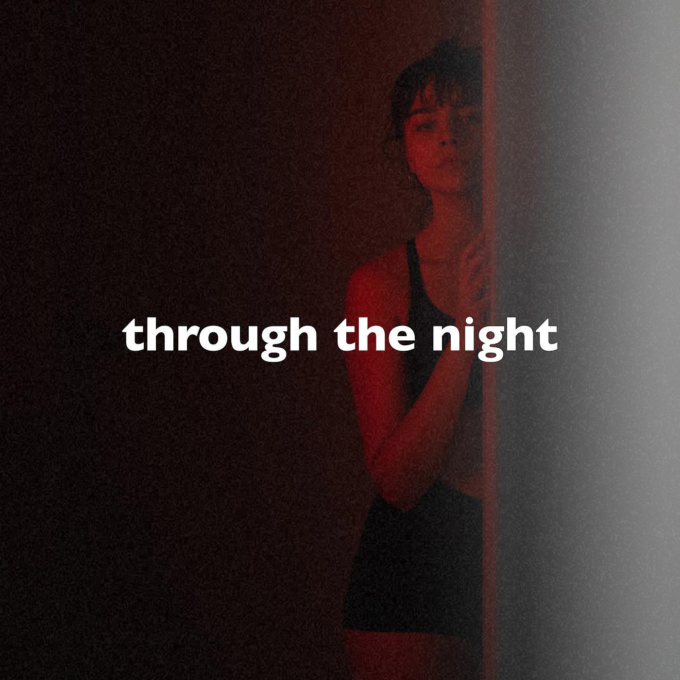 Постер альбома Through the Night (Slowed + Reverb)