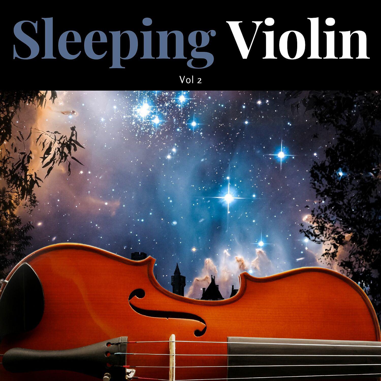 Постер альбома Sleeping Violin Vol. 2