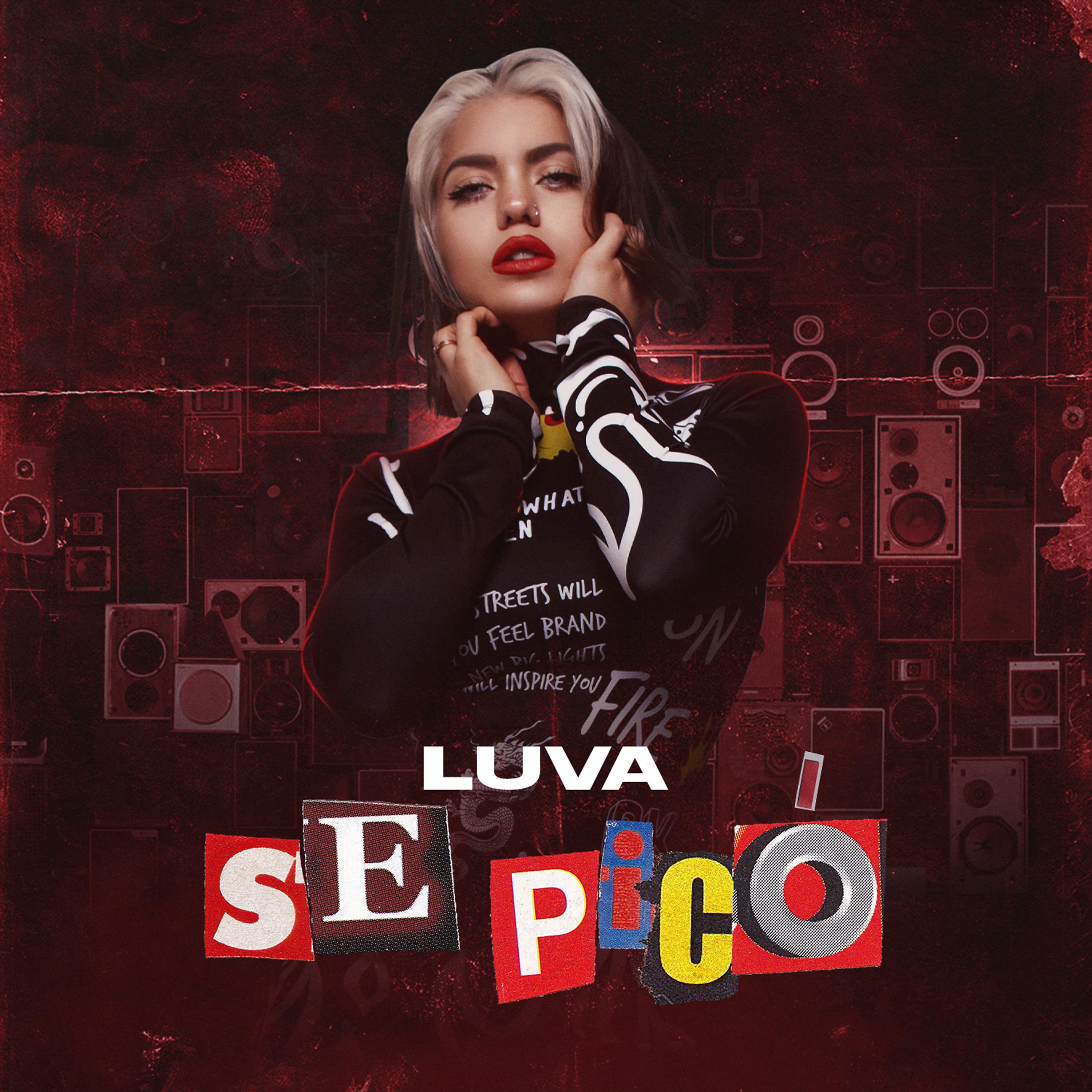 Постер альбома Se Picó