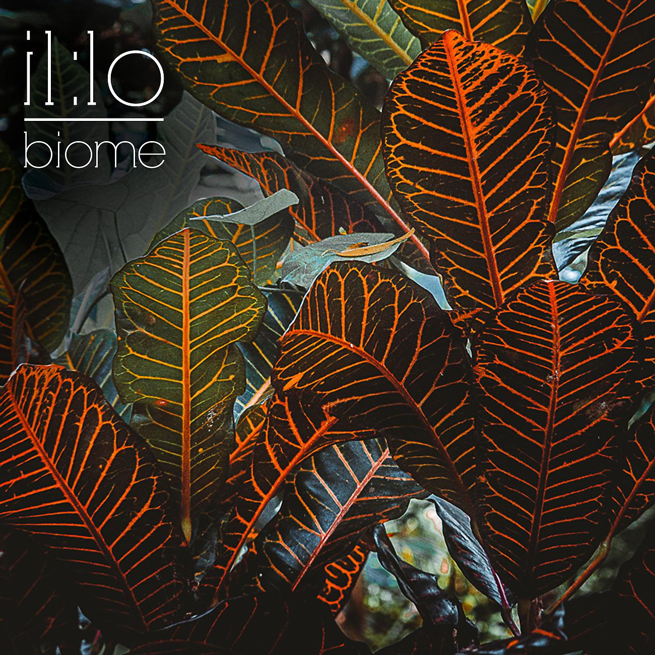 Постер альбома Biome