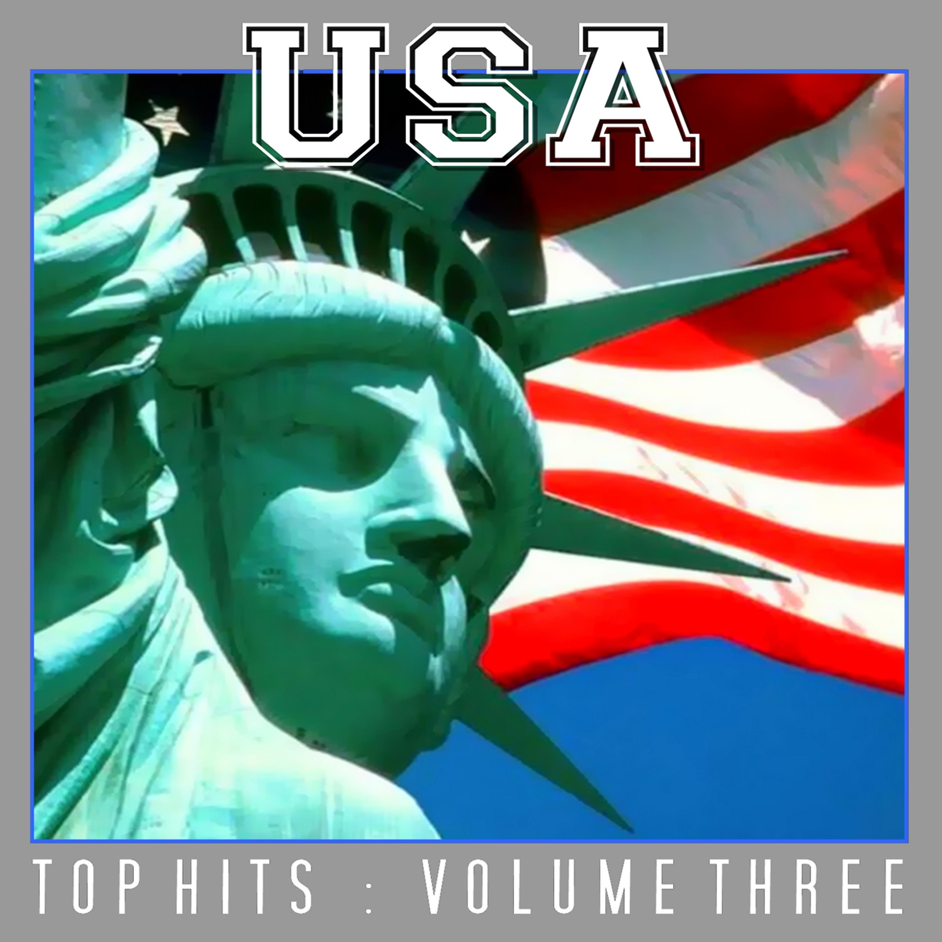 Постер альбома USA Top Hits Vol 3