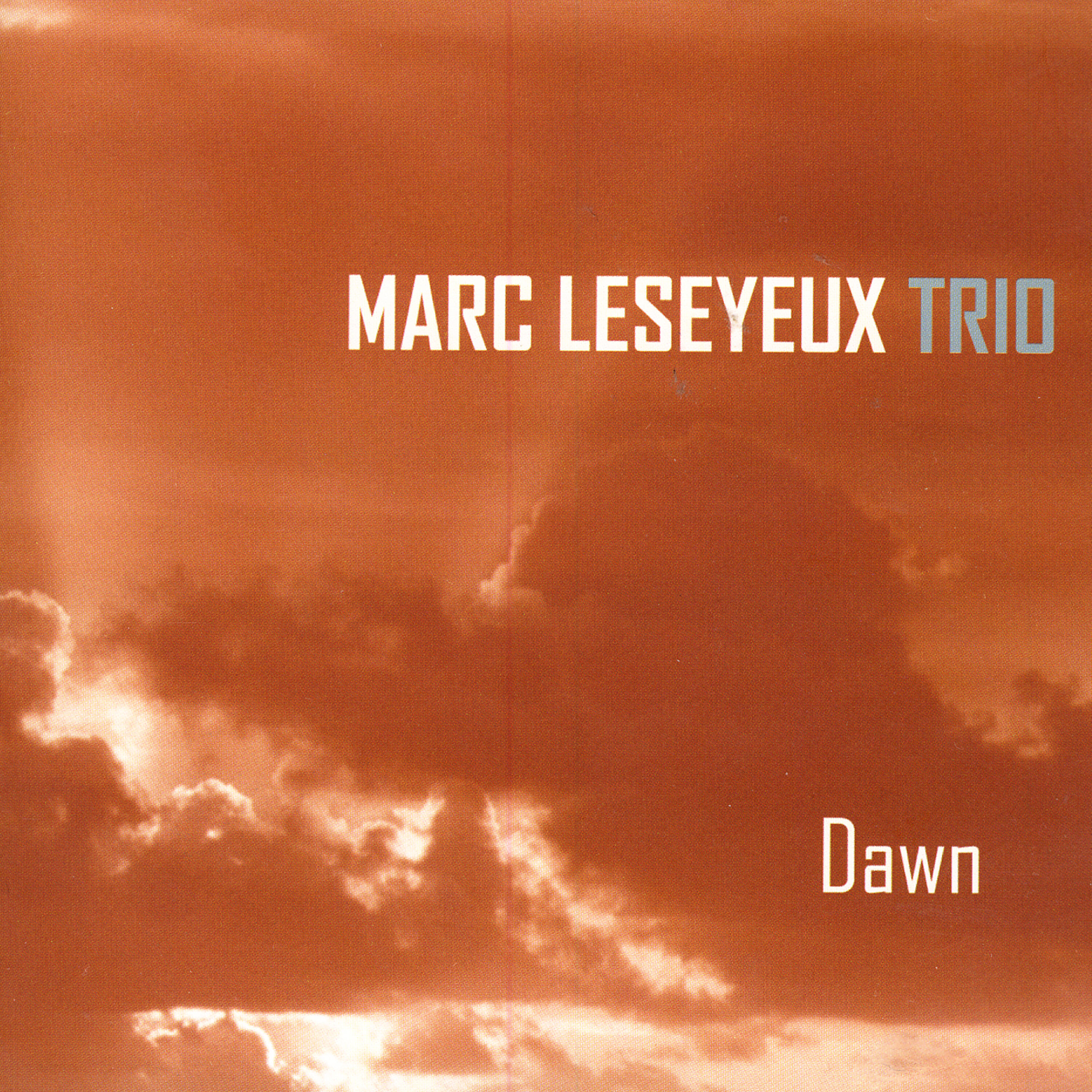 Marc Leseyeux - Fluctuation