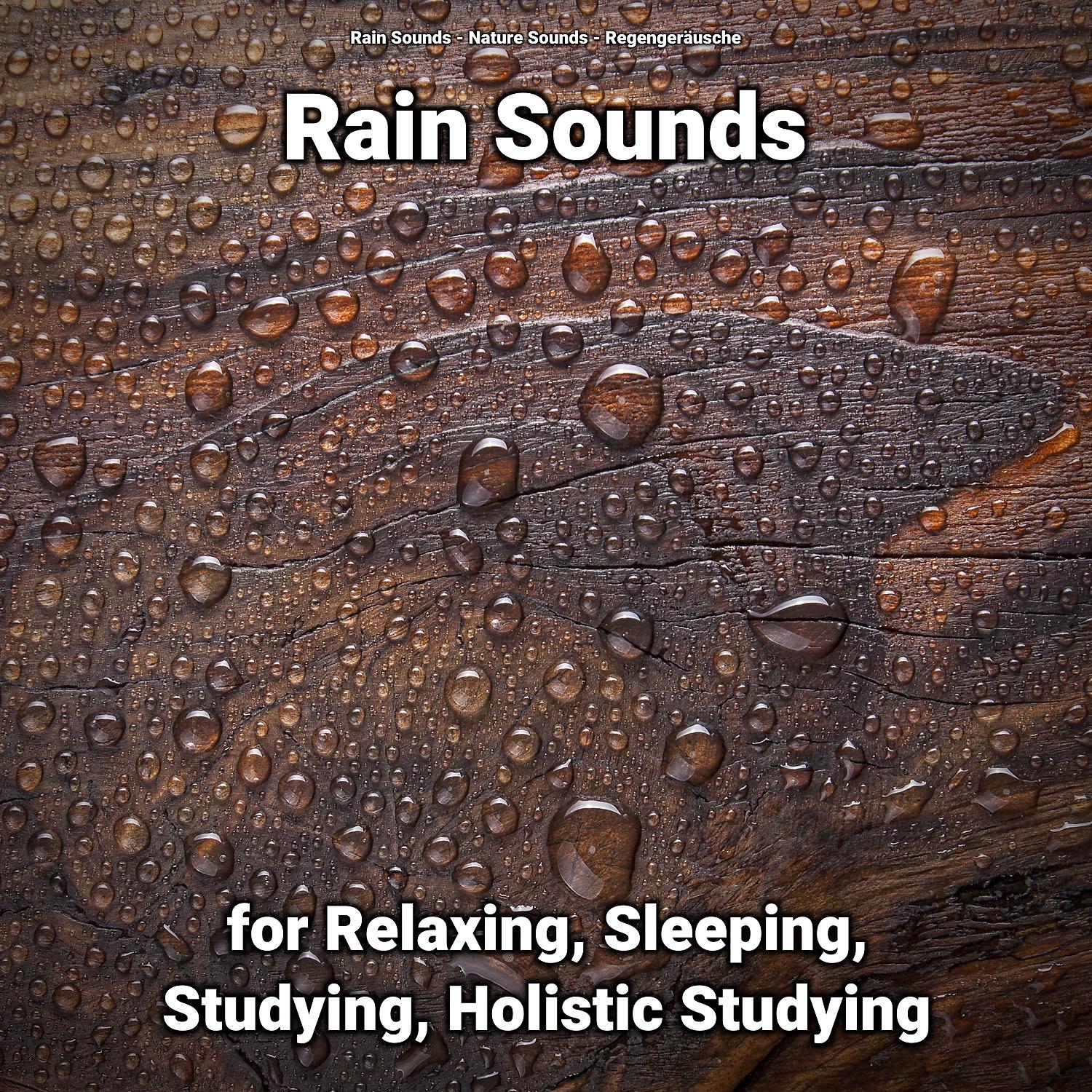 Постер альбома Rain Sounds for Relaxing, Sleeping, Studying, Holistic Studying