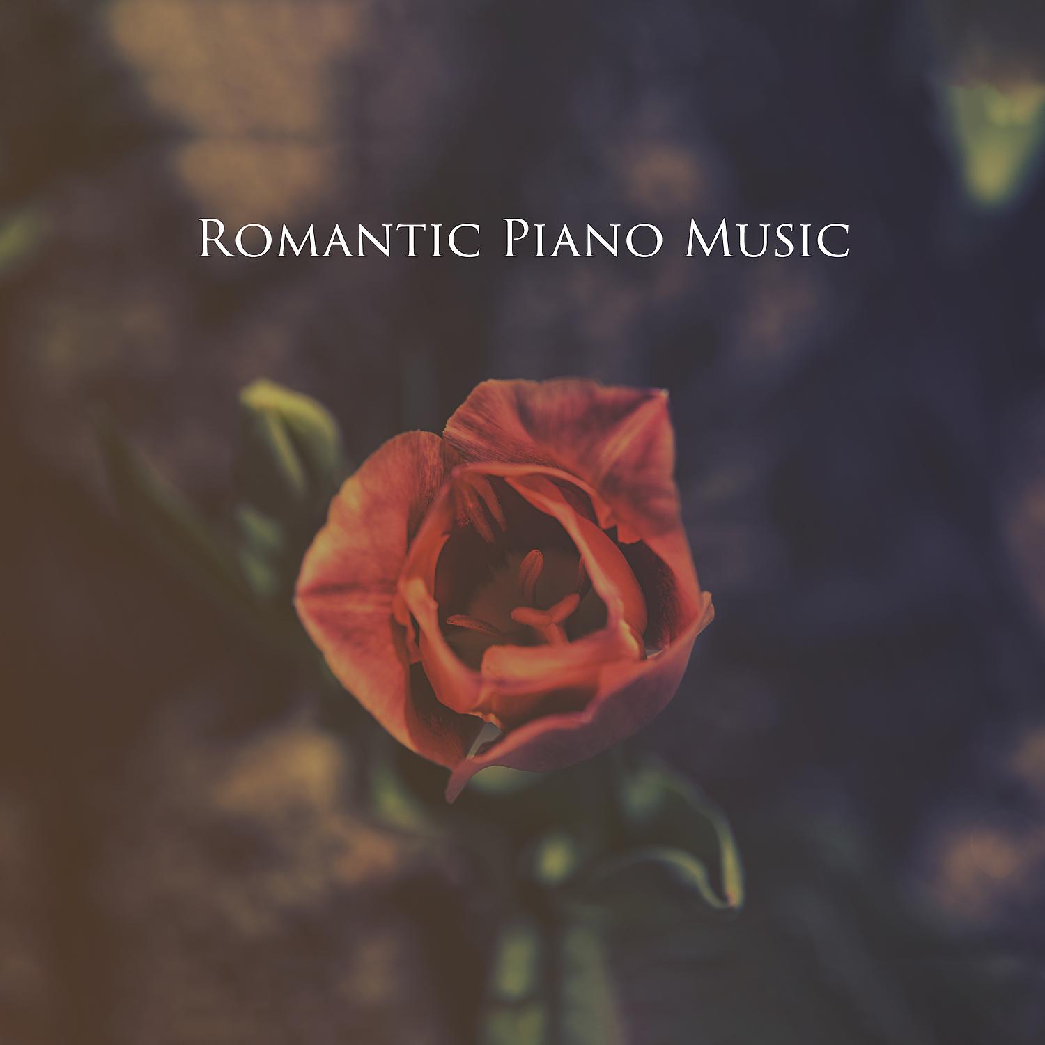 Постер альбома Romantic Piano Music: Instrumental Piano, Love Story, Romantic Piano, Piano Love Songs