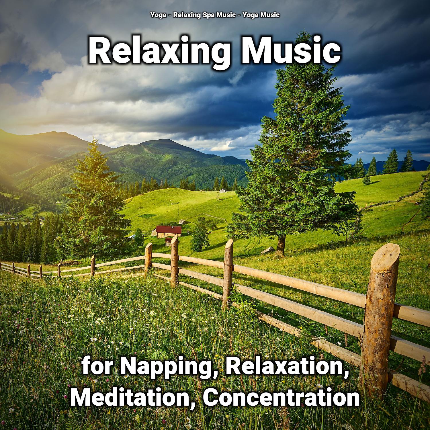 Постер альбома Relaxing Music for Napping, Relaxation, Meditation, Concentration