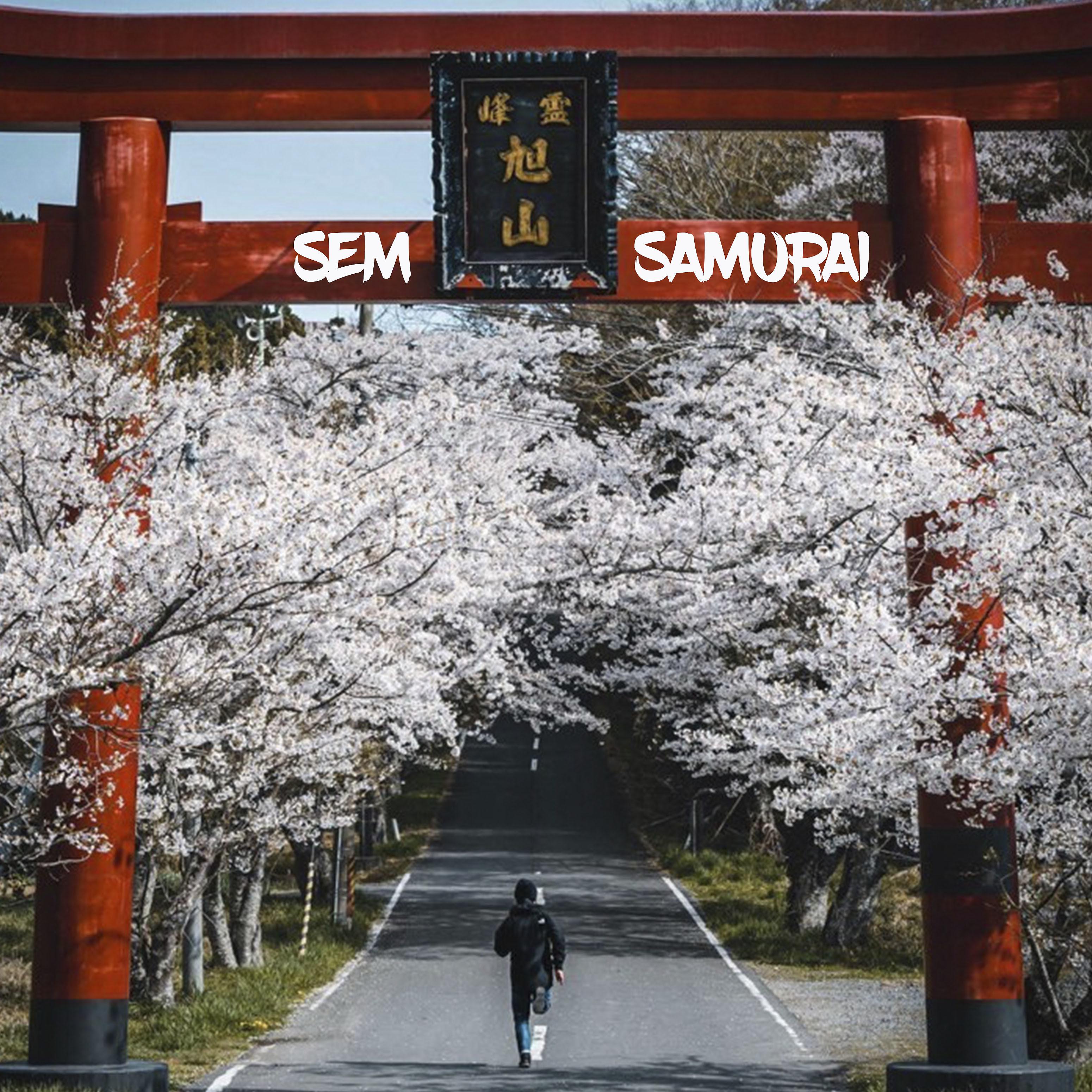 Постер альбома Sem Samurai