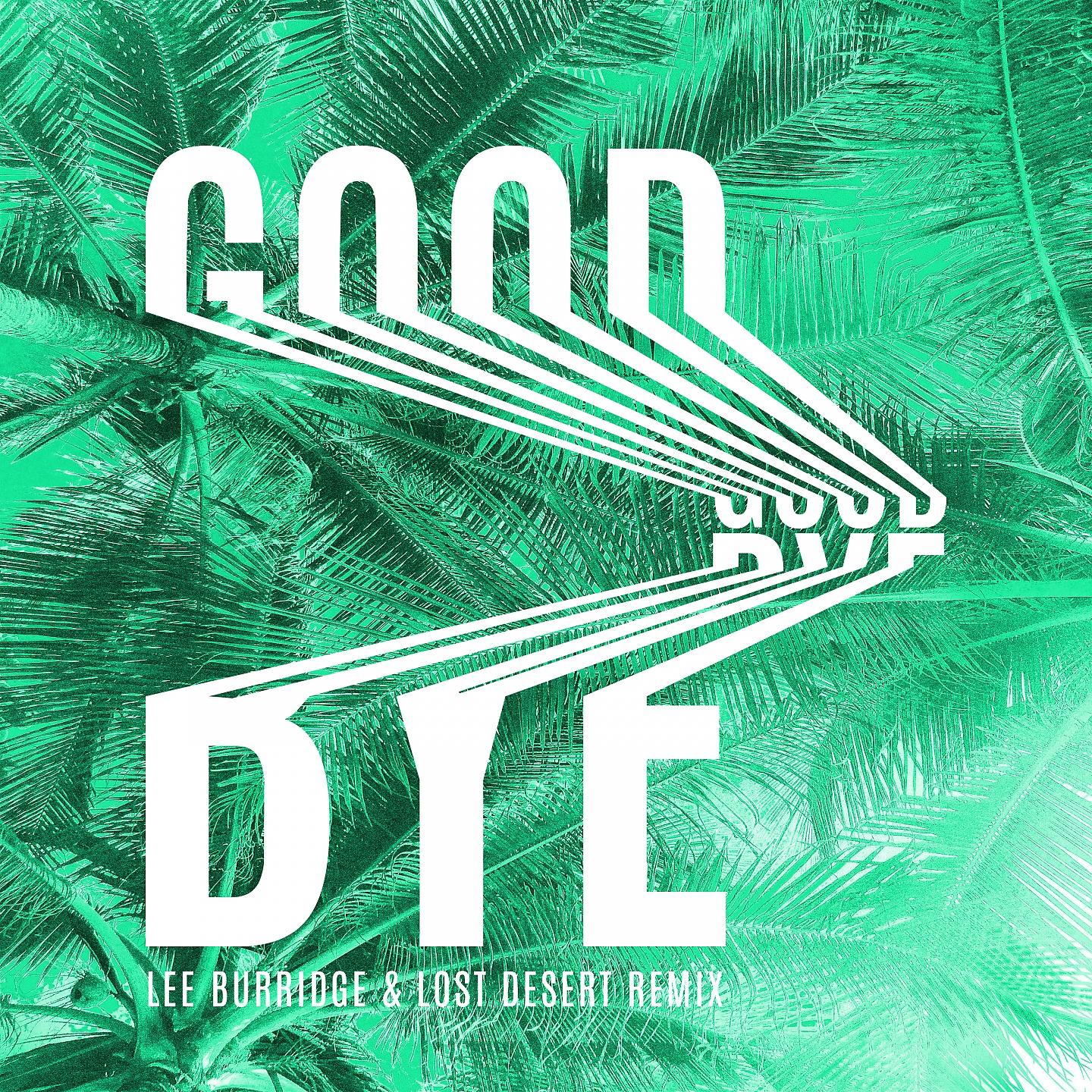 Постер альбома Goodbye (Lee Burridge & Lost Desert Remix)