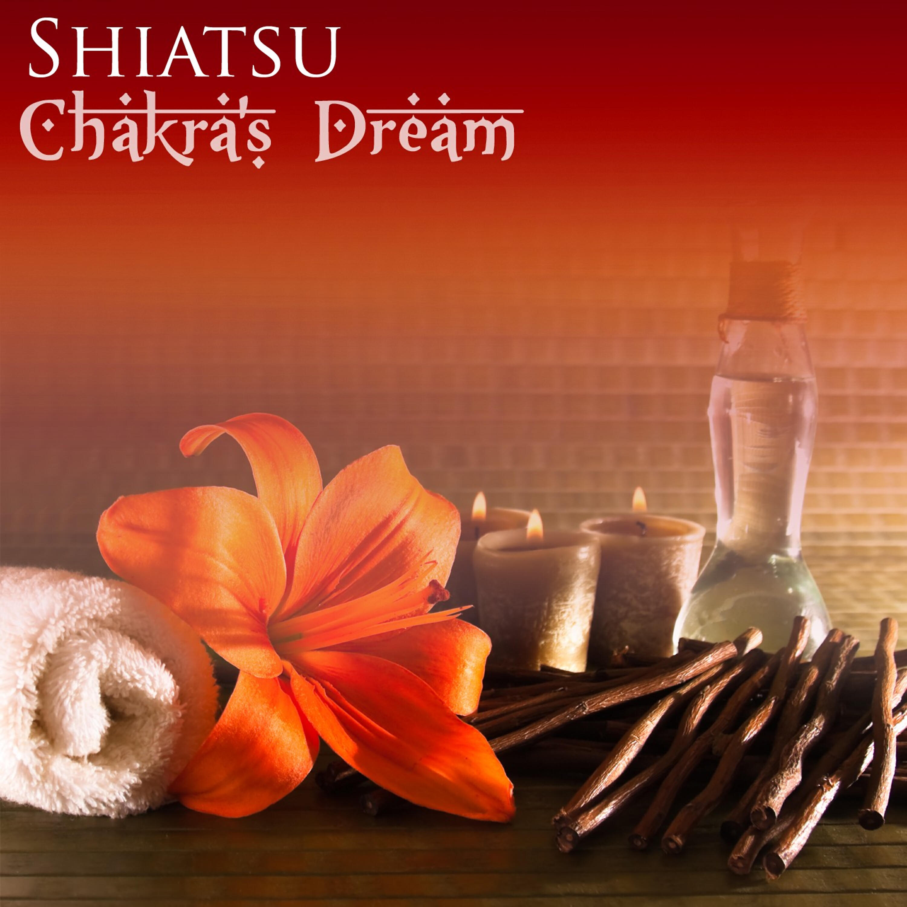 Chakra's Dream - Ancient Methods