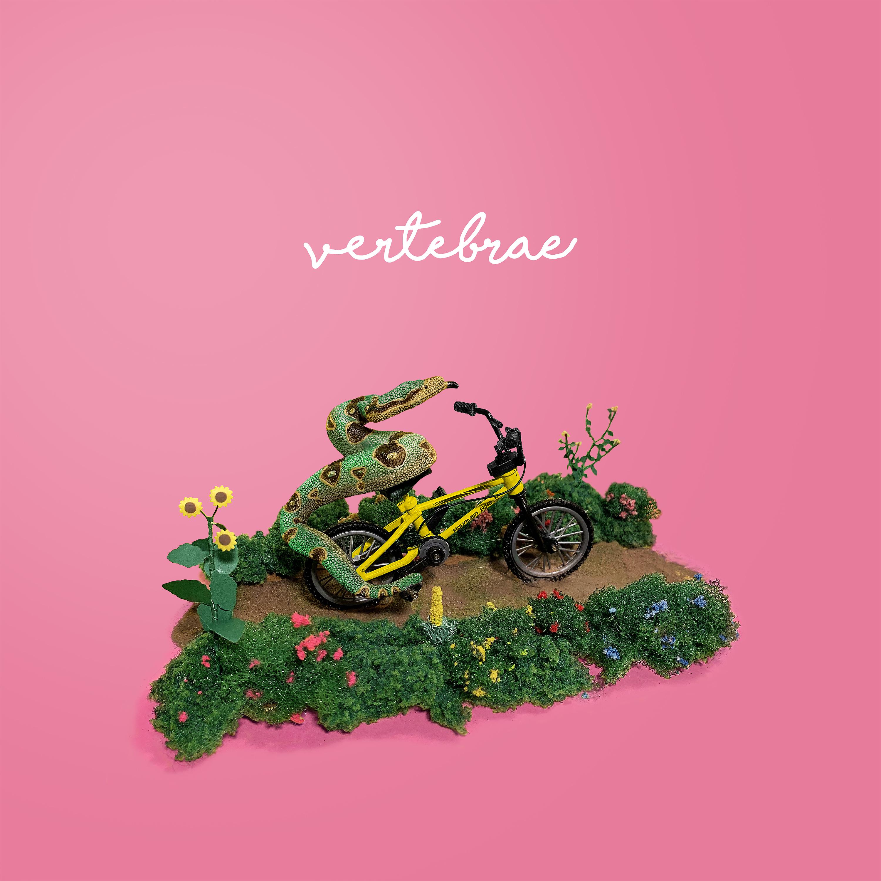 Постер альбома Vertebrae