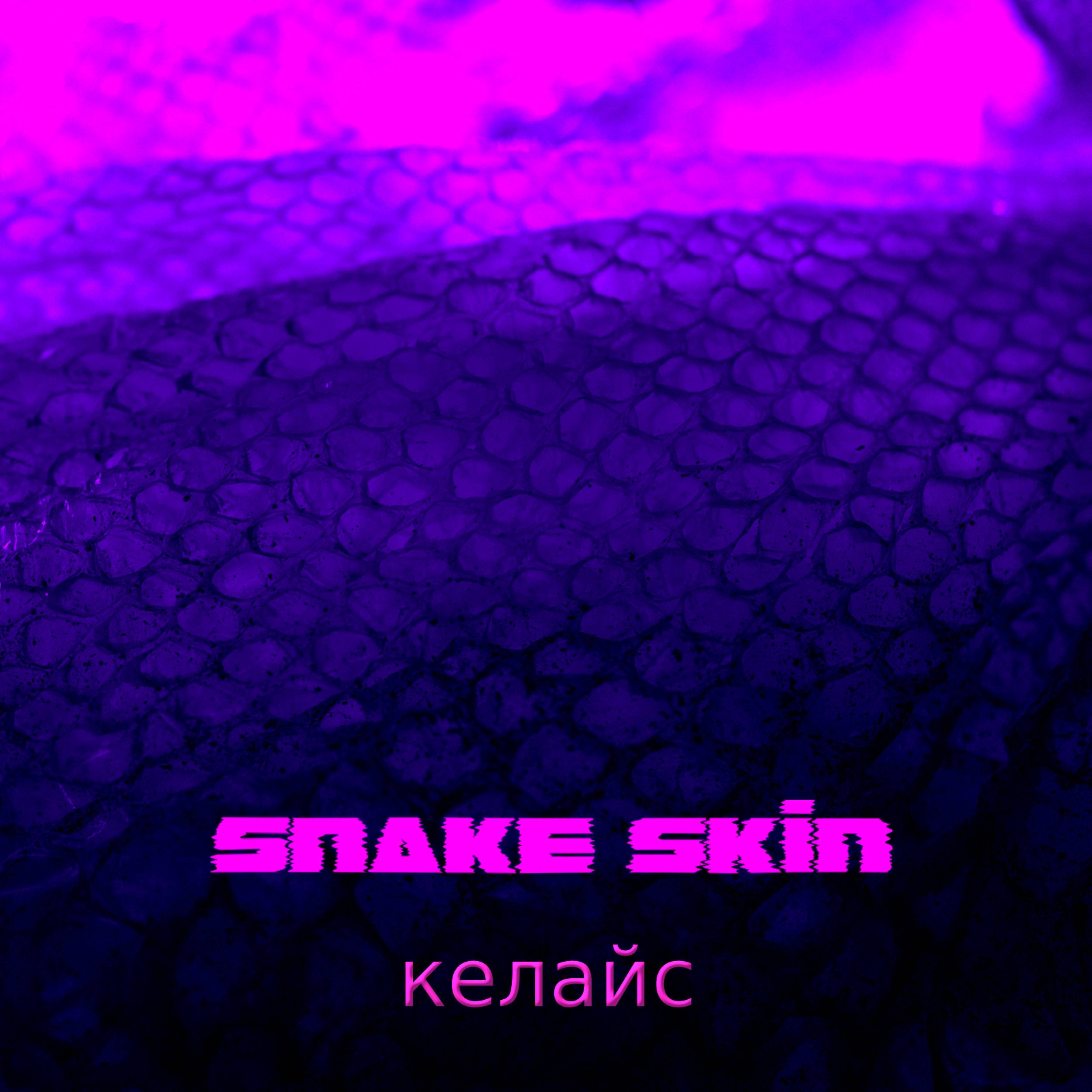 Постер альбома Snake Skin