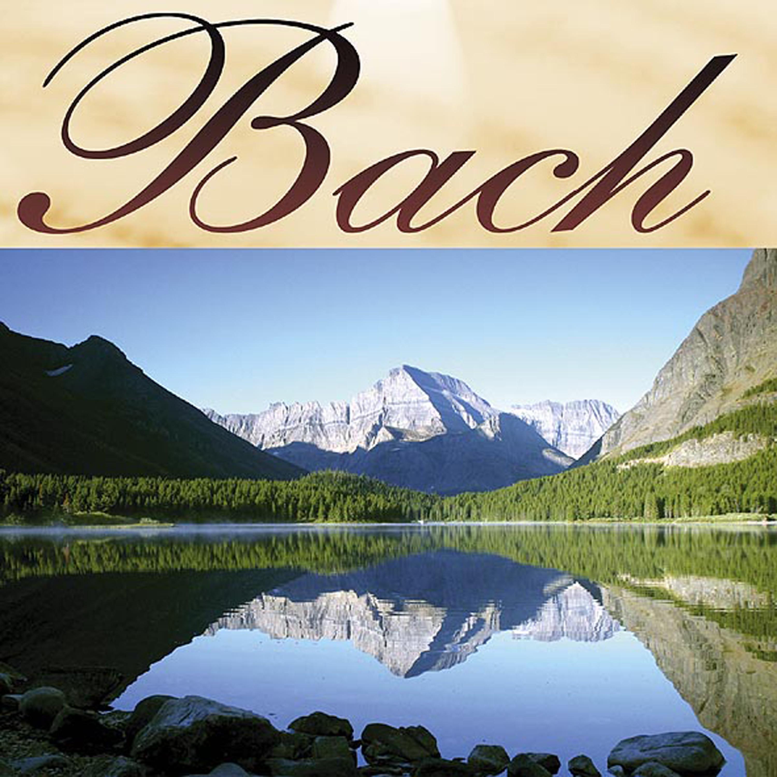 Постер альбома Musica  Clasica - Johann Sebastian Bach