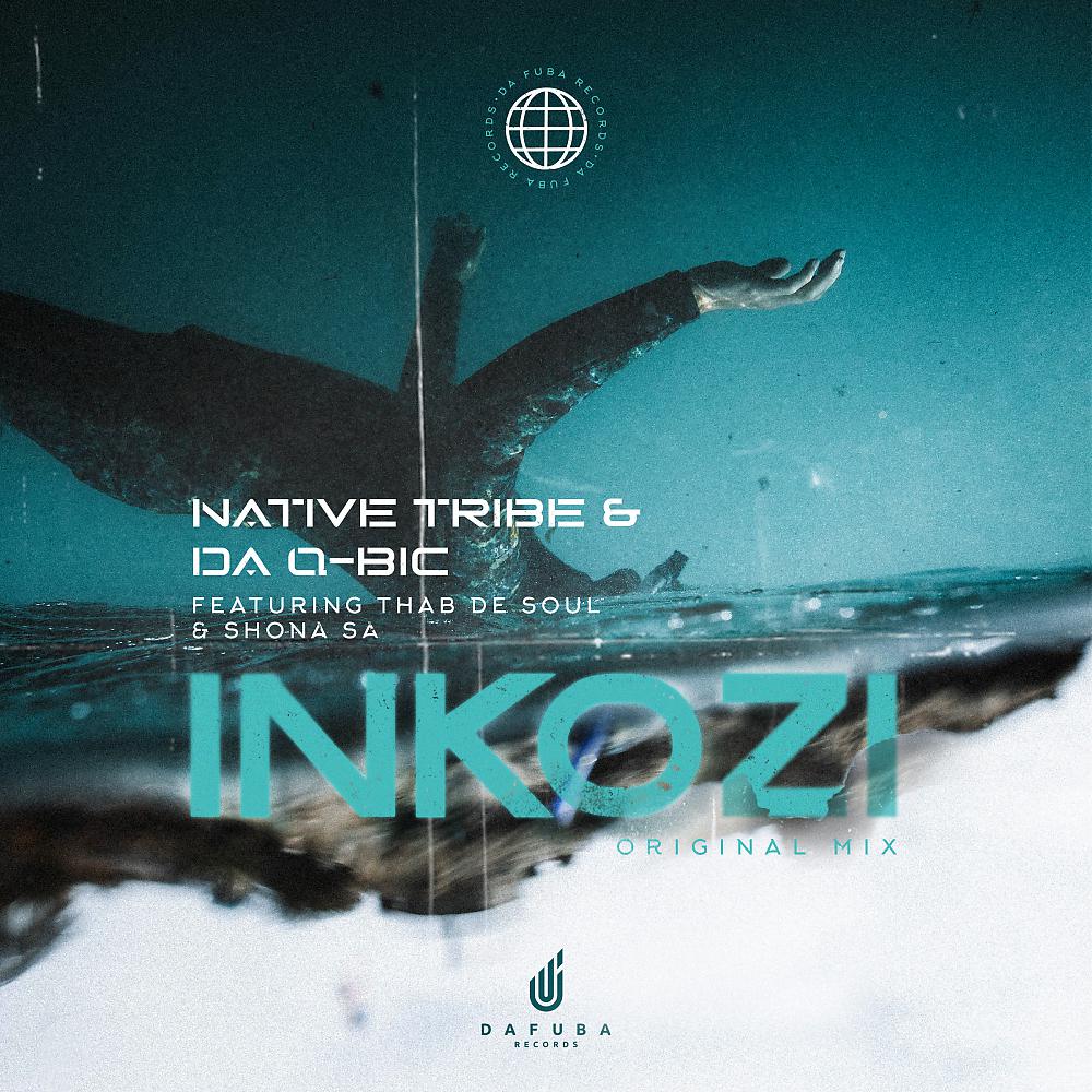 Постер альбома Inkozi