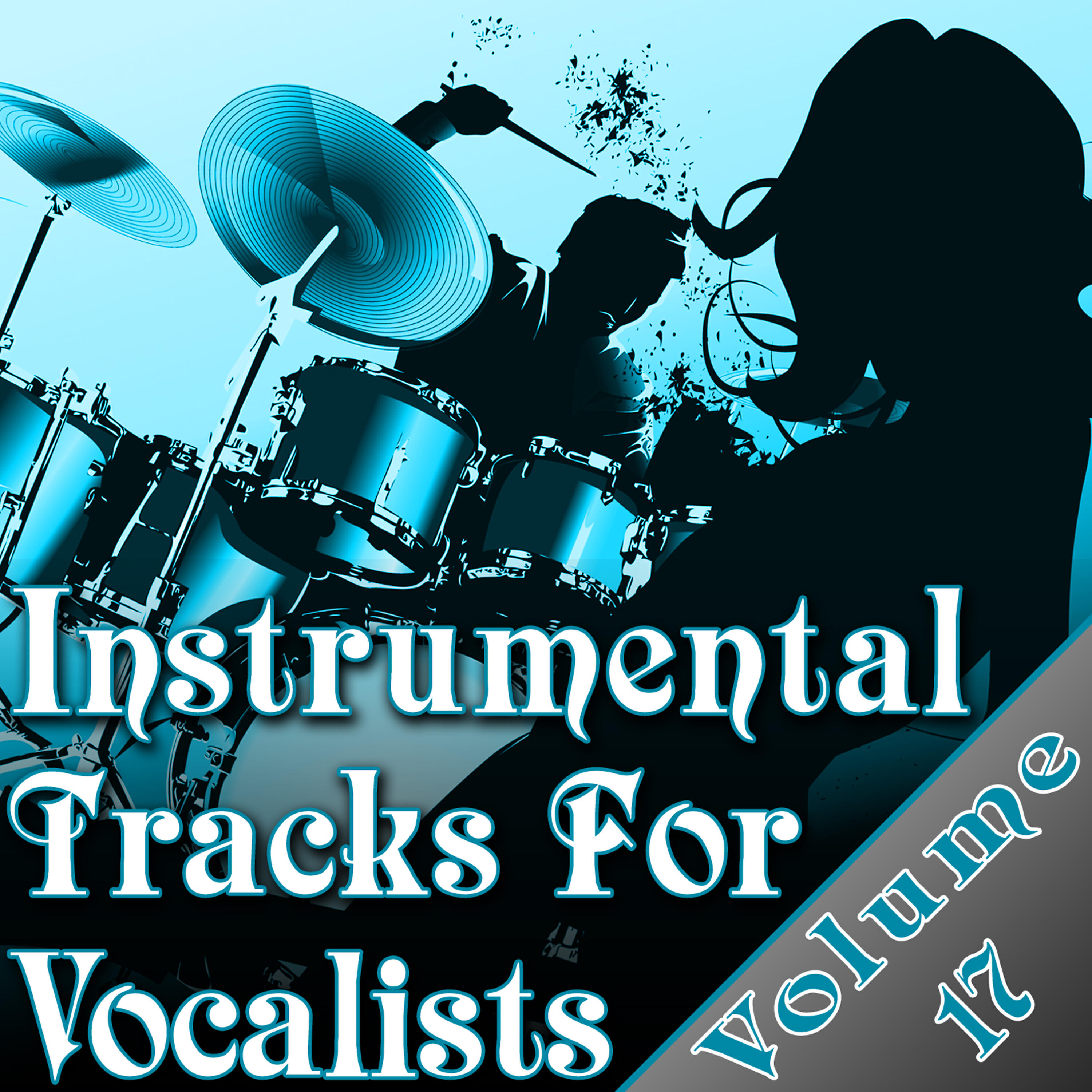 The Backing Tracks - Heard It All Before (As Made Famous By Sunshine Anderson)