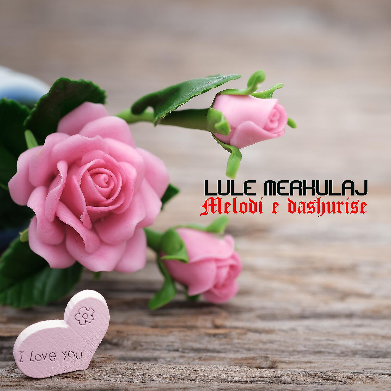 Lule Merkulaj - Melodi e dashurise
