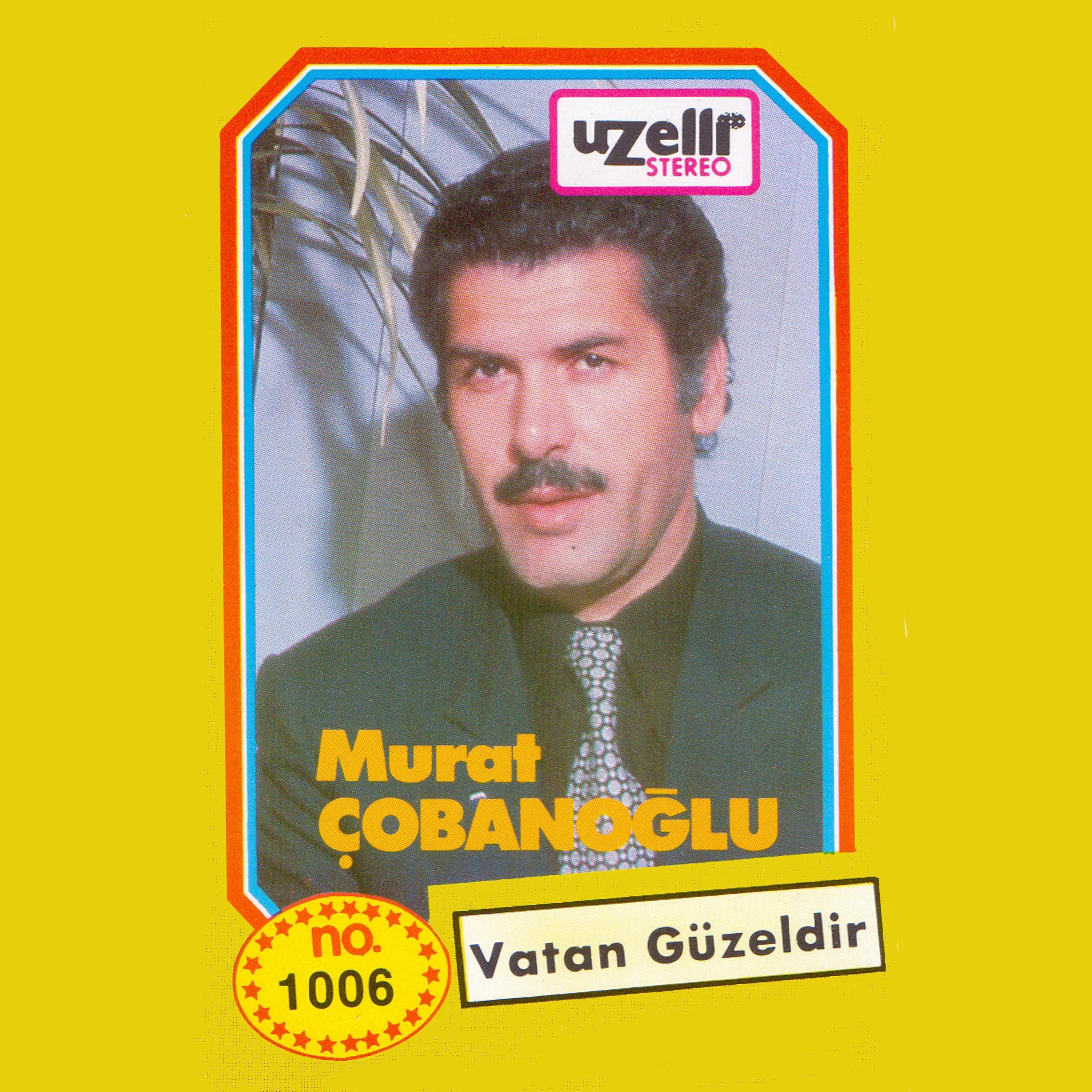 Постер альбома Vatan Güzeldir