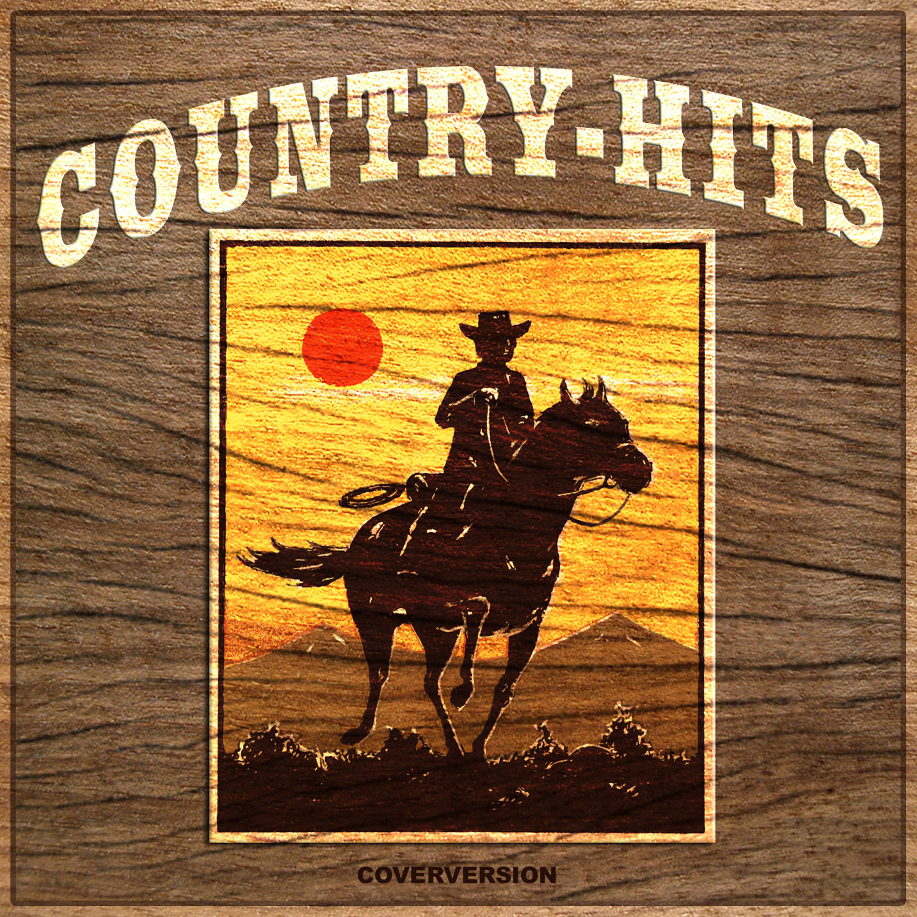 Постер альбома Country Hits