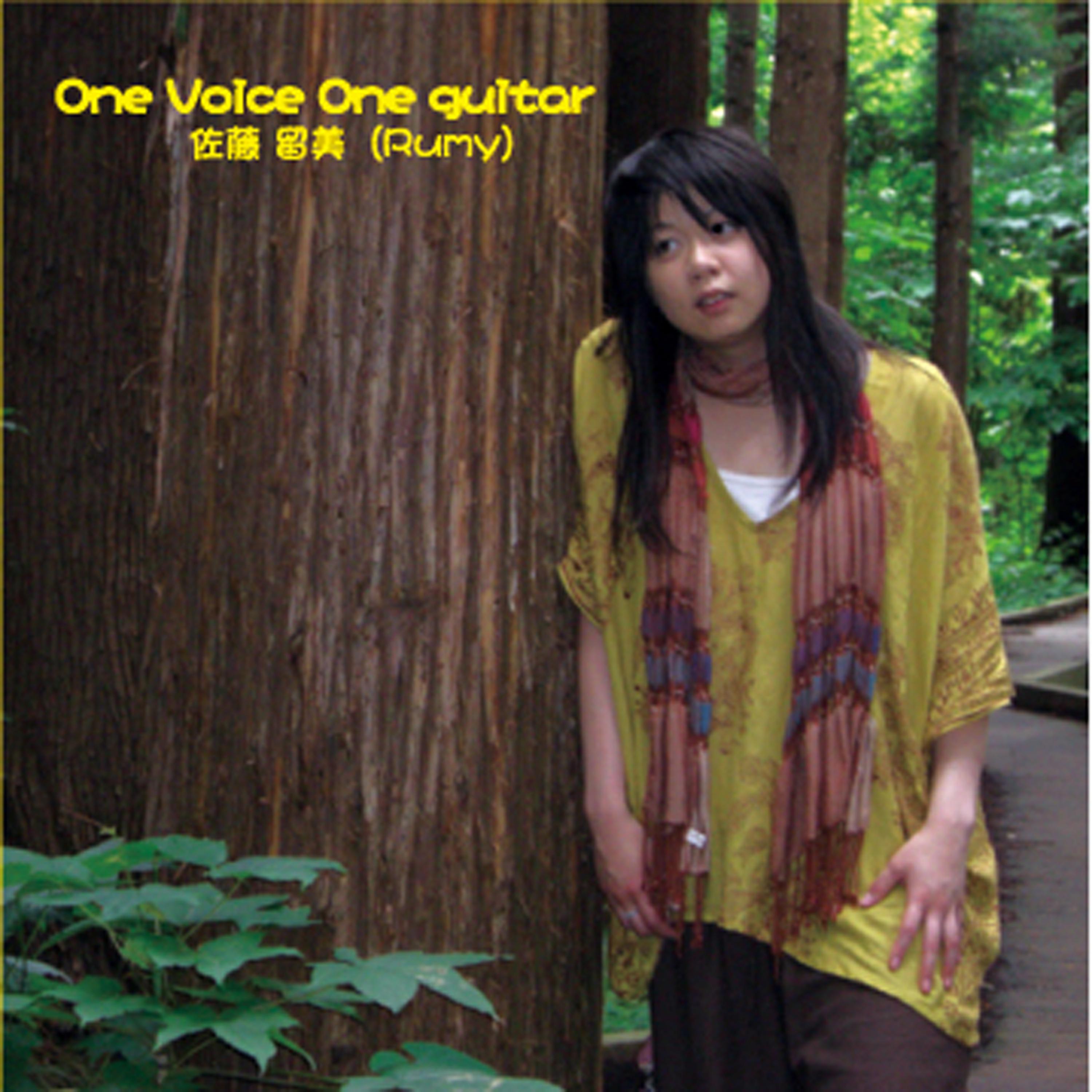 Постер альбома One Voice One Guitar