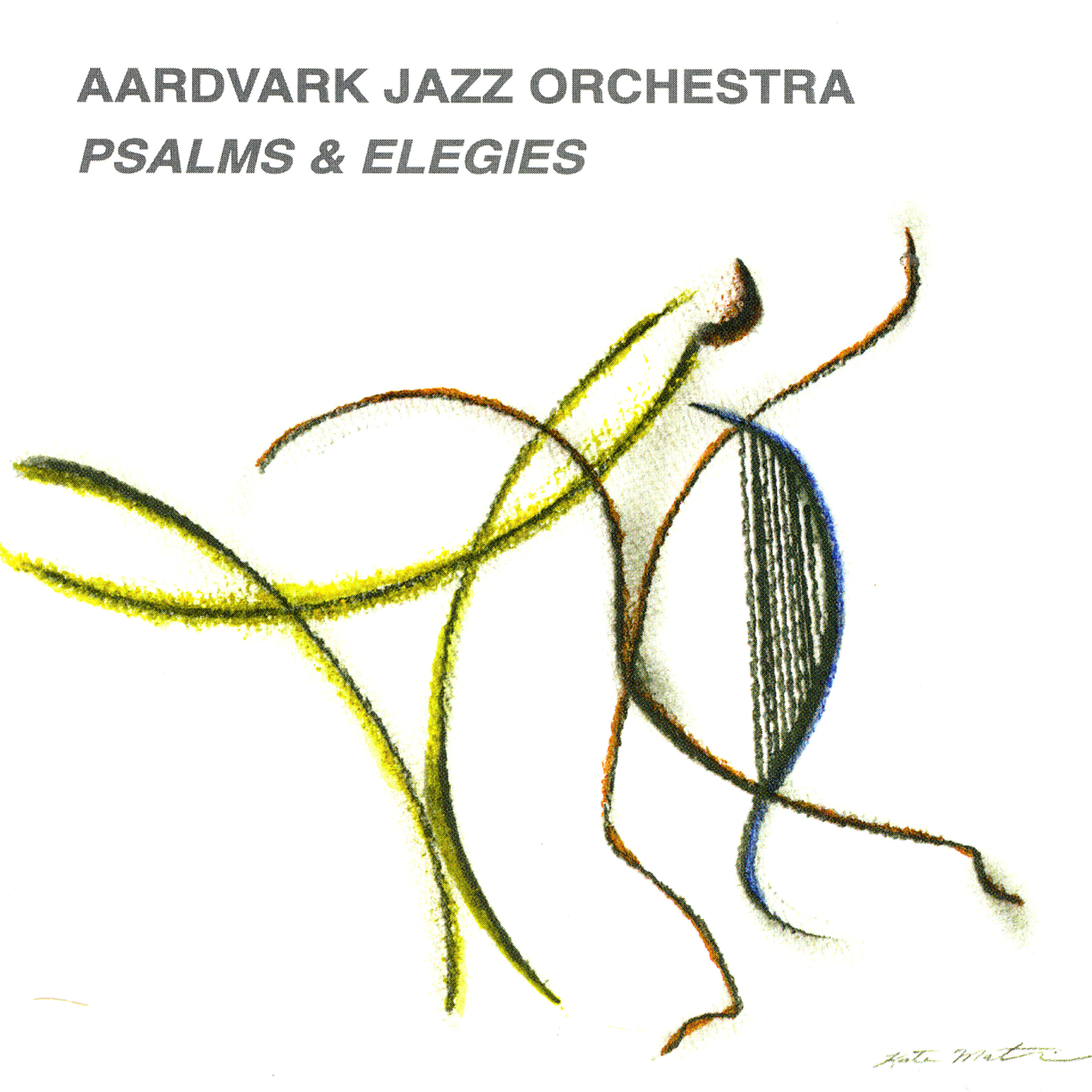 The Aardvark Jazz Orchestra - Other Angels/Other Voices